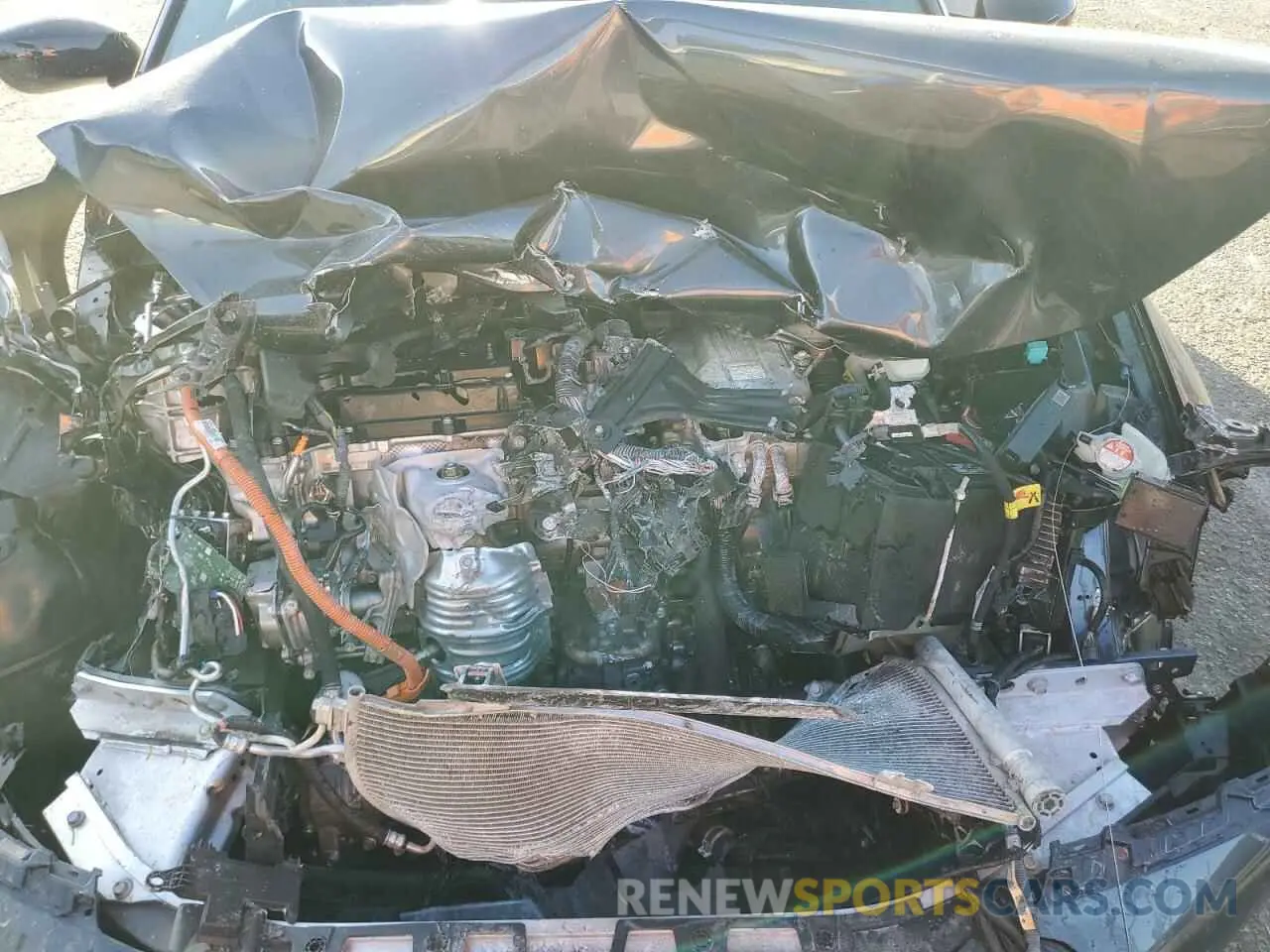 13 fotografías del automóvil dañado 2HGFE4F83SH312992 HONDA CIVIC 2025