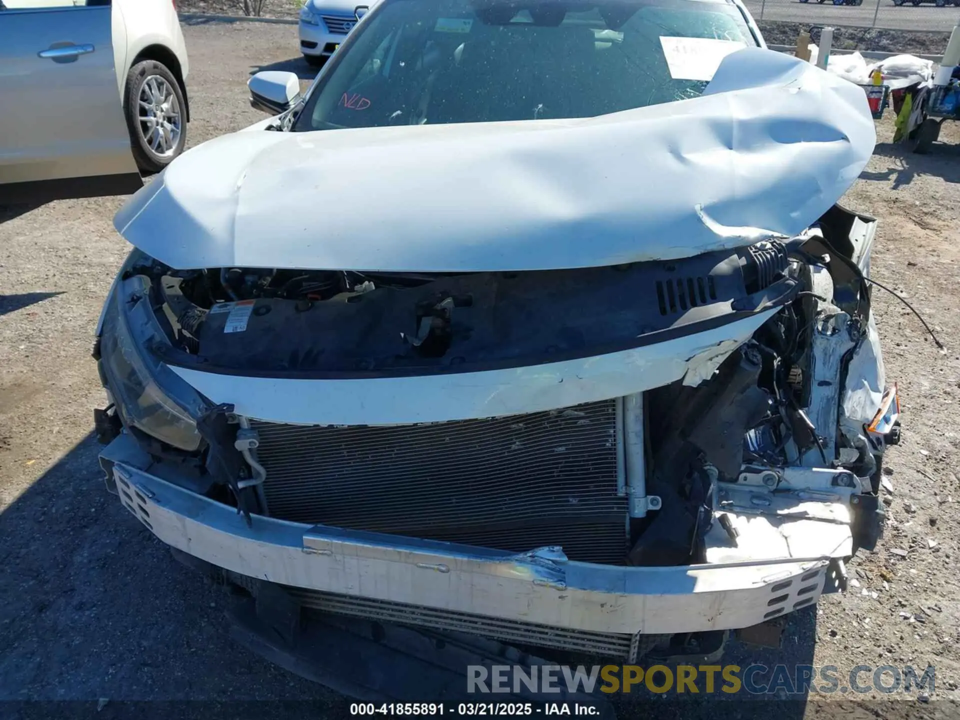 11 fotografías del automóvil dañado 2HGFC1E52LH704715 HONDA CIVIC SI 2020
