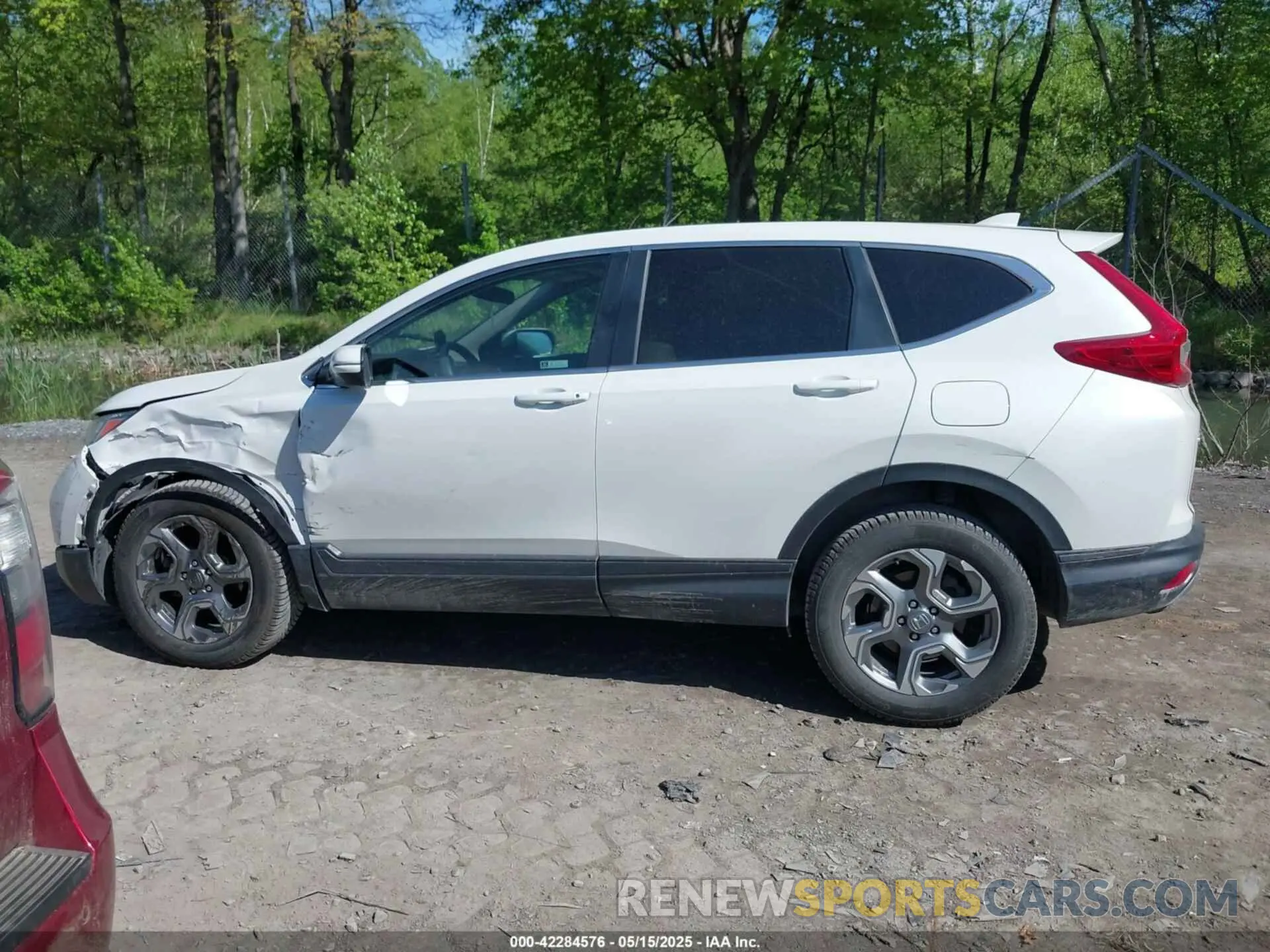 14 fotografías del automóvil dañado 2HKRW2H56KH666061 HONDA CR-V 2019