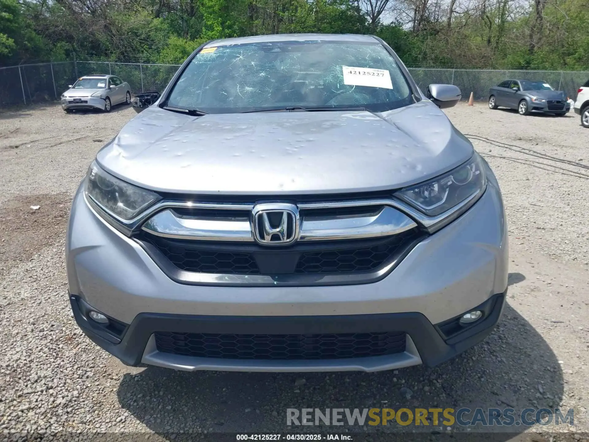 13 fotografías del automóvil dañado 2HKRW2H59KH665390 HONDA CR-V 2019