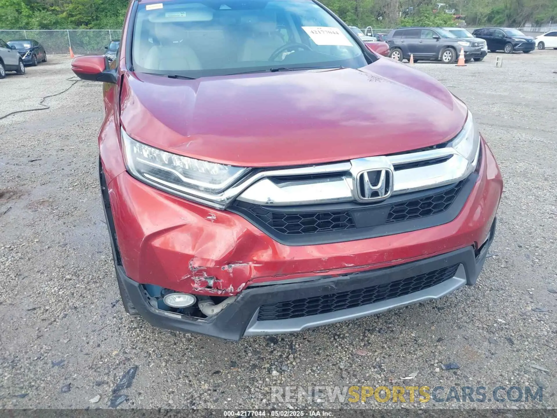 6 fotografías del automóvil dañado 2HKRW2H92KH626997 HONDA CR-V 2019