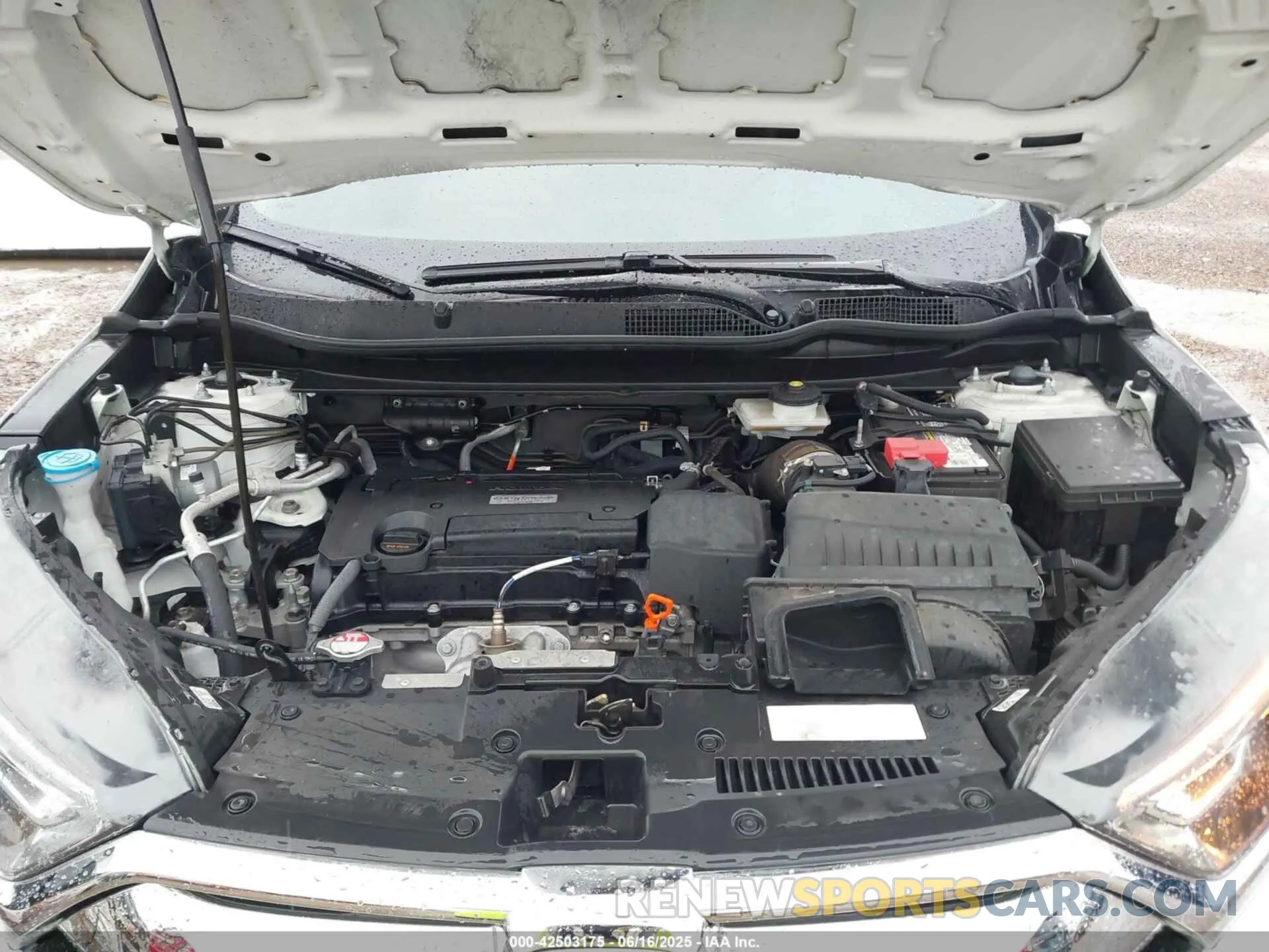 10 fotografías del automóvil dañado 2HKRW5H32KH419829 HONDA CR-V 2019