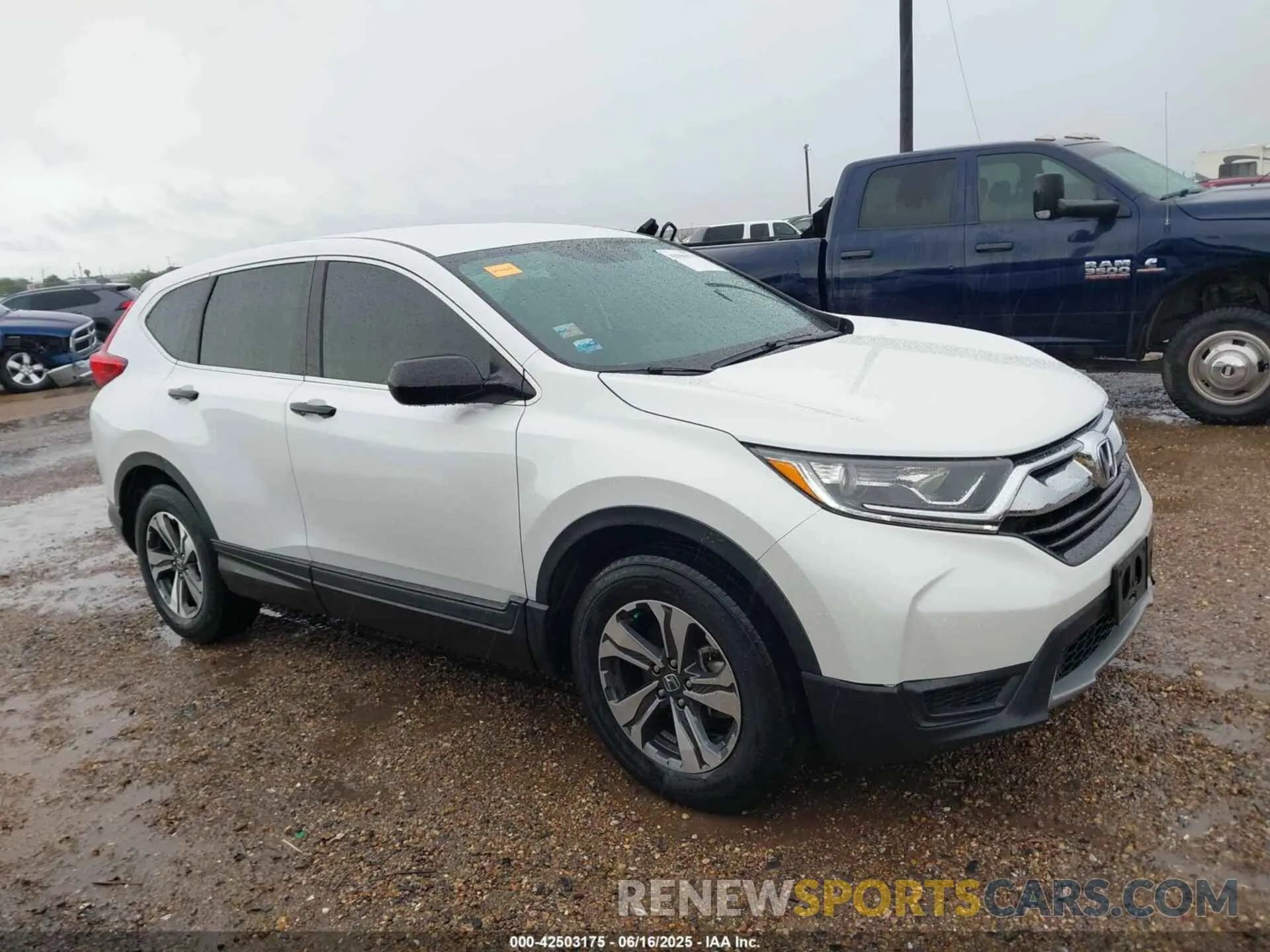 13 fotografías del automóvil dañado 2HKRW5H32KH419829 HONDA CR-V 2019