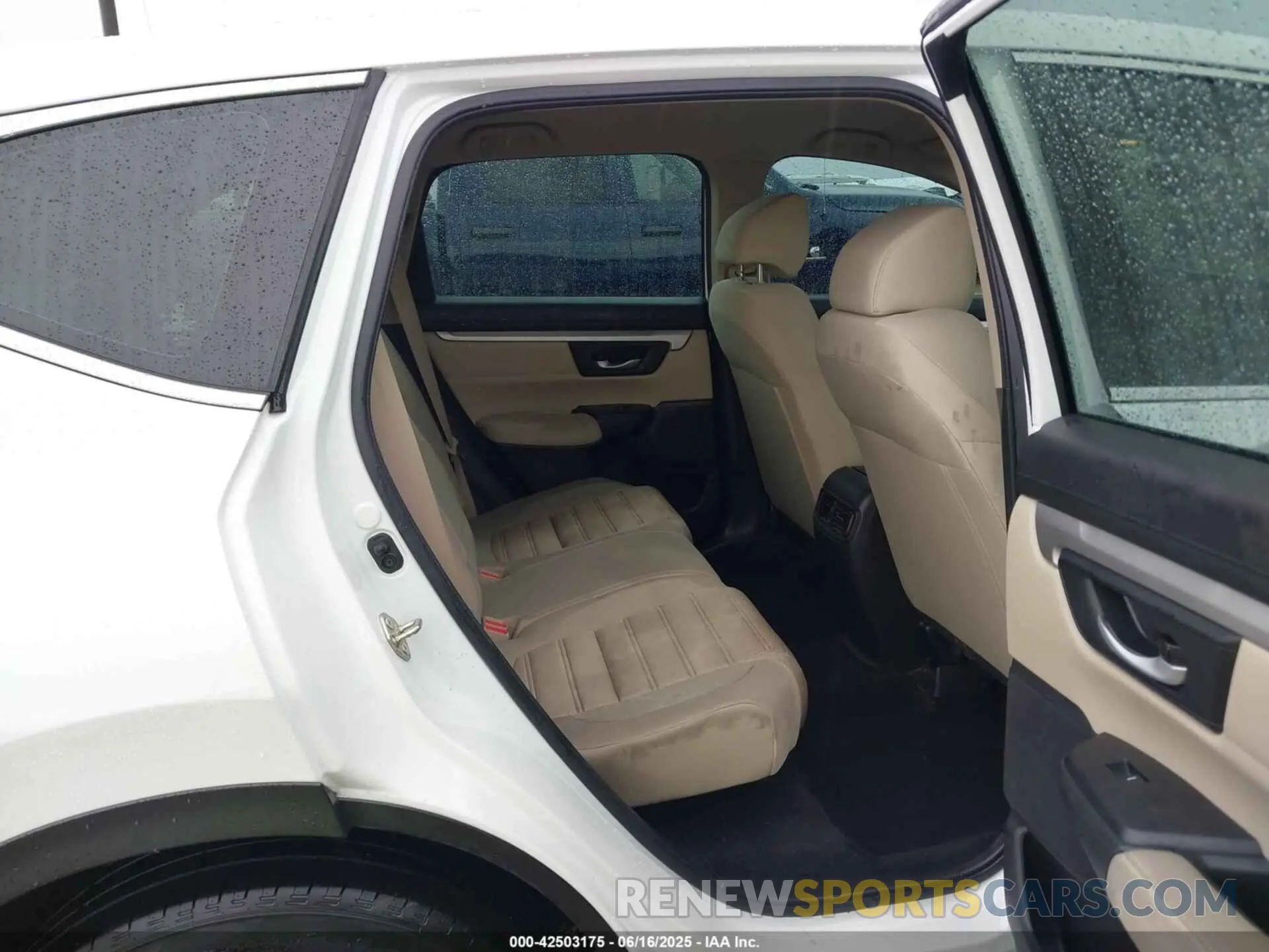 8 fotografías del automóvil dañado 2HKRW5H32KH419829 HONDA CR-V 2019