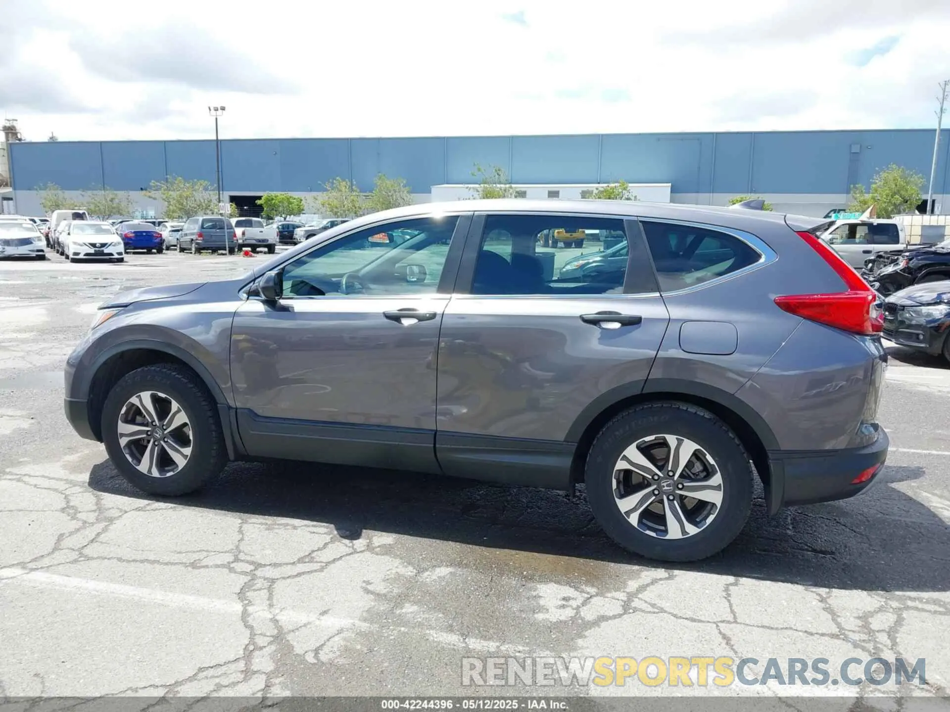 14 fotografías del automóvil dañado 2HKRW6H32KH223945 HONDA CR-V 2019