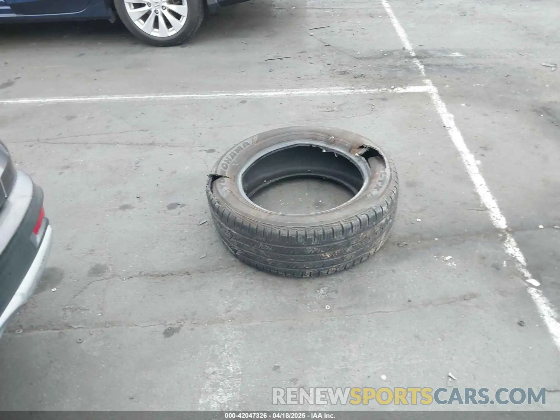 12 fotografías del automóvil dañado 5J6RW1H52KA020706 HONDA CR-V 2019