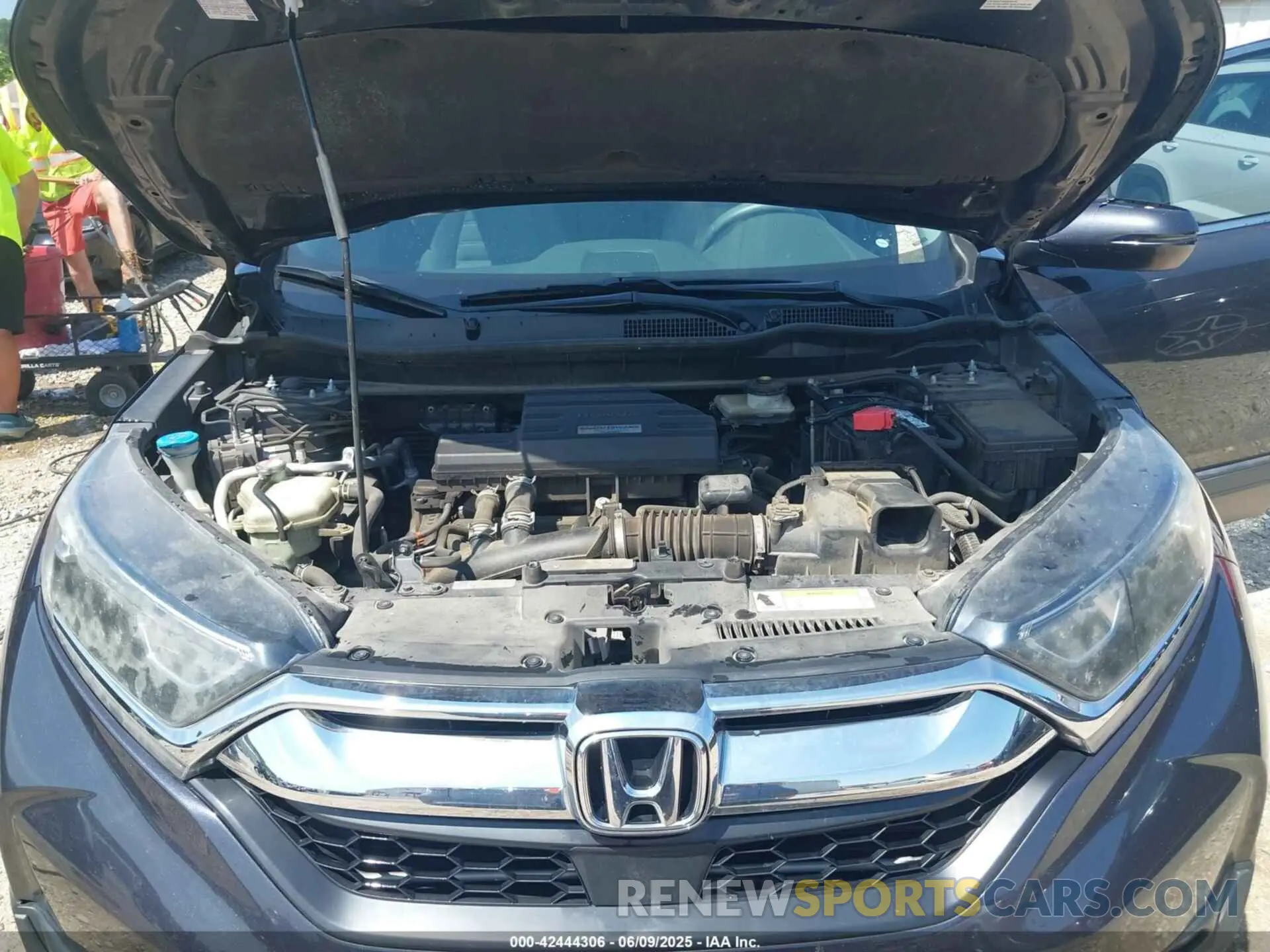 10 fotografías del automóvil dañado 5J6RW1H53KA039376 HONDA CR-V 2019