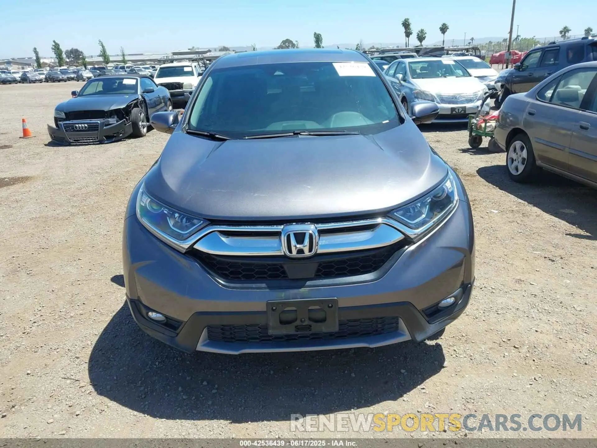12 fotografías del automóvil dañado 5J6RW1H56KA003956 HONDA CR-V 2019