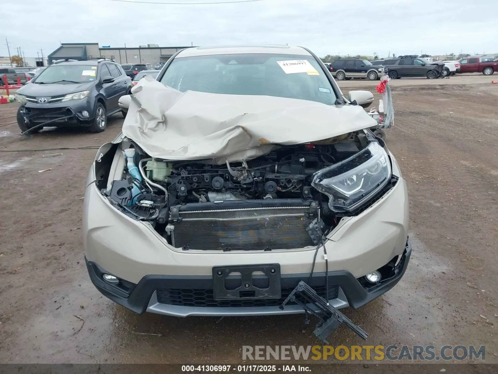 12 fotografías del automóvil dañado 5J6RW1H56KL002651 HONDA CR-V 2019