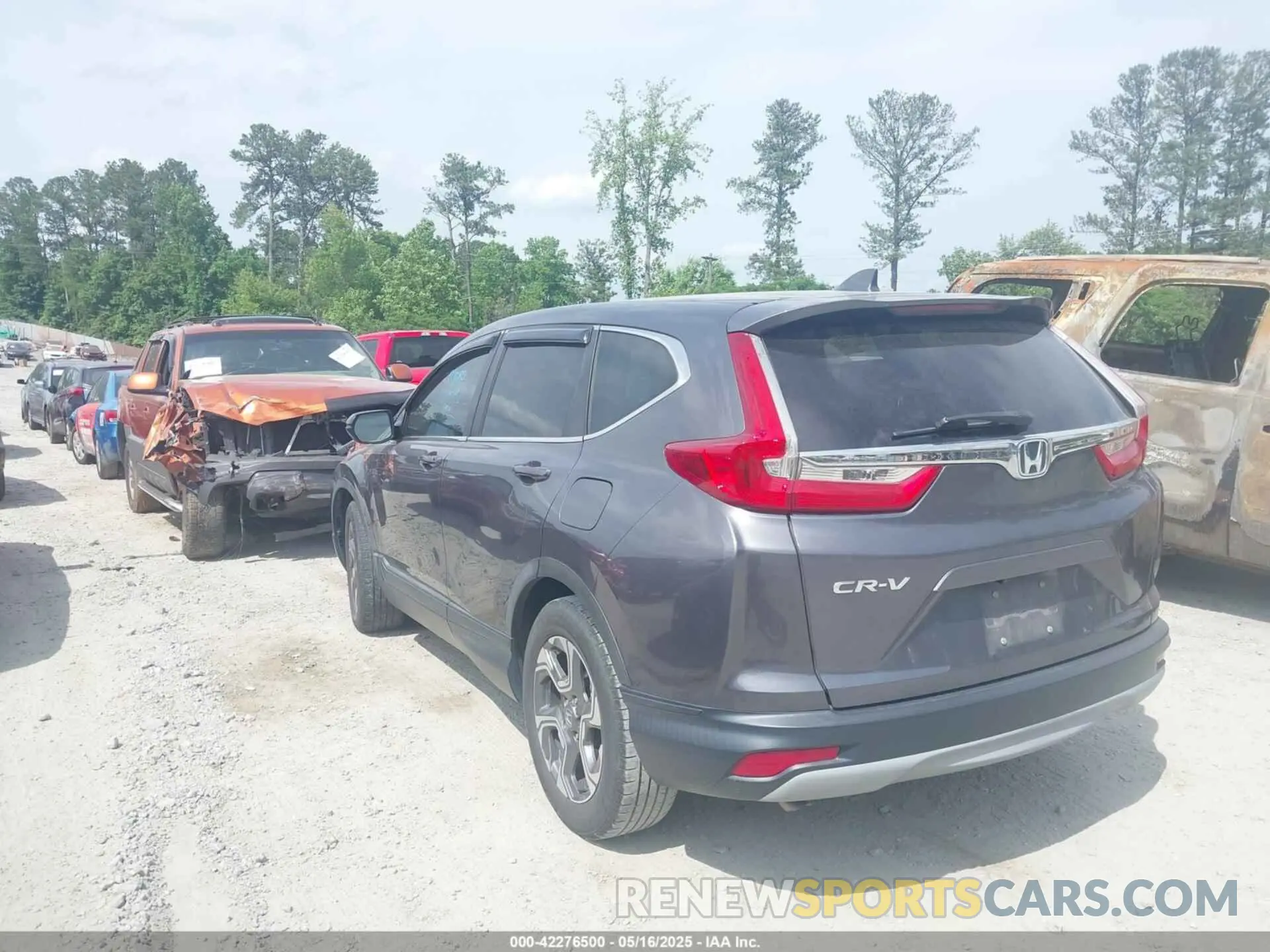 14 fotografías del automóvil dañado 5J6RW1H85KA011489 HONDA CR-V 2019