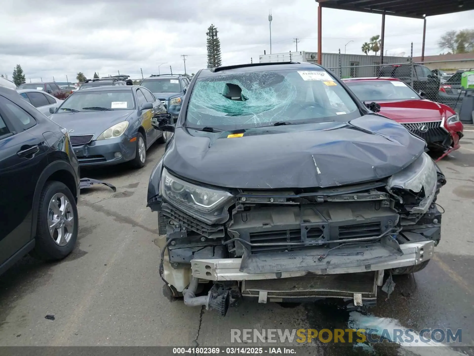 6 fotografías del automóvil dañado 5J6RW1H86KA005197 HONDA CR-V 2019
