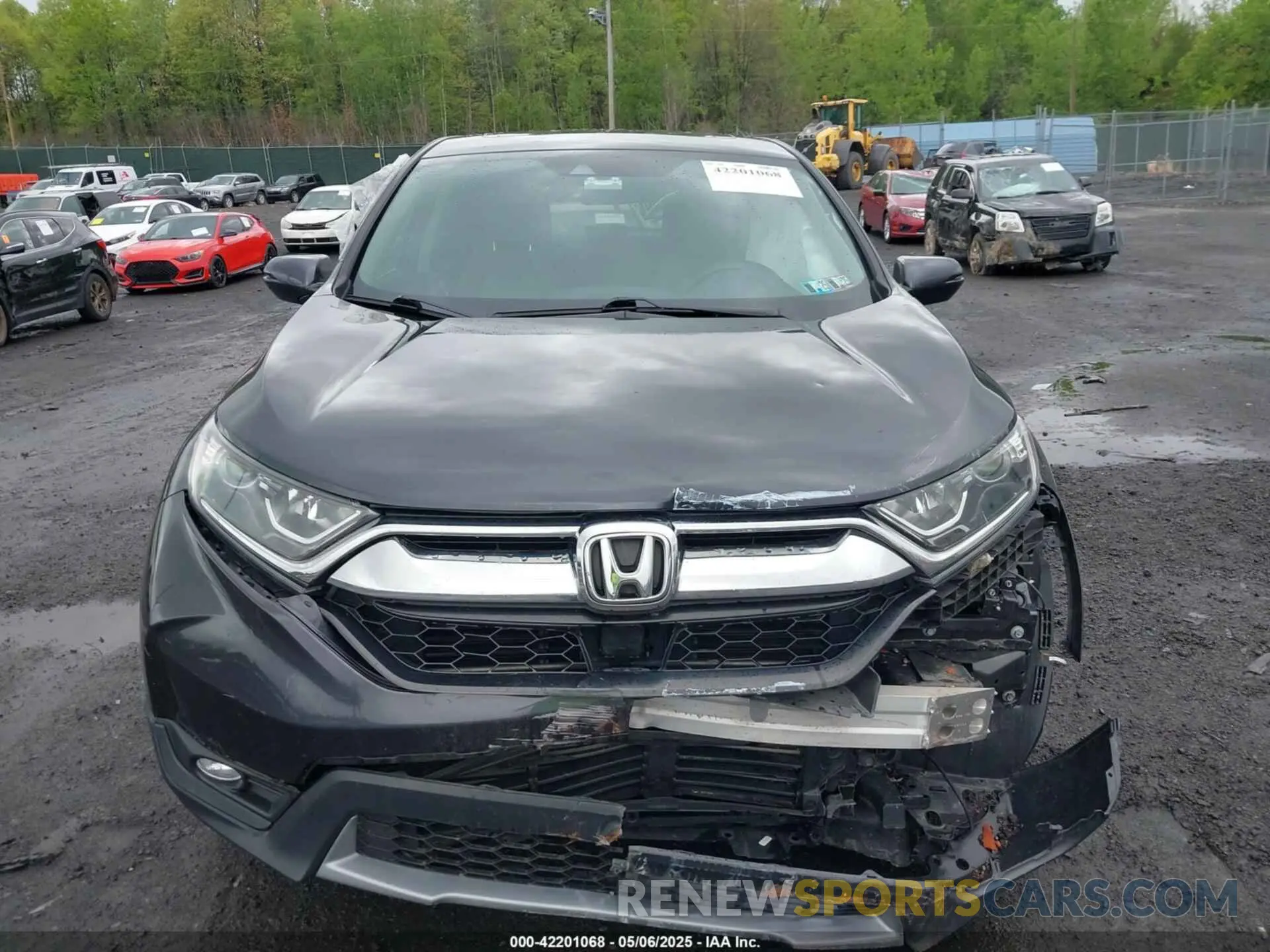 12 fotografías del automóvil dañado 5J6RW2H54KL034875 HONDA CR-V 2019