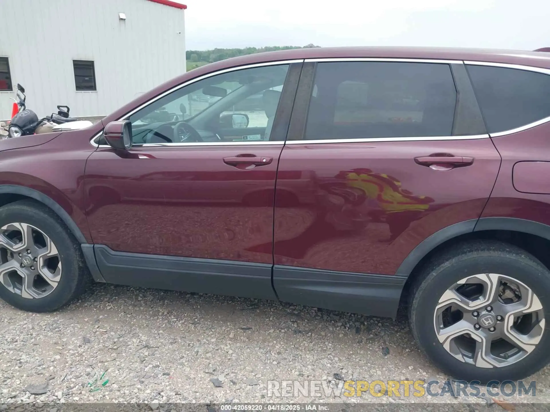 14 fotografías del automóvil dañado 5J6RW2H56KL007712 HONDA CR-V 2019