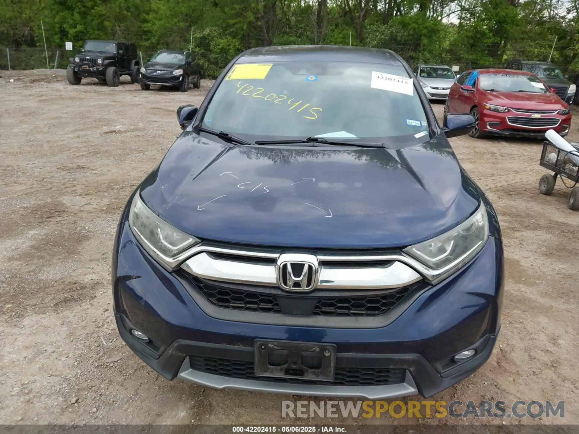 12 fotografías del automóvil dañado 5J6RW2H89KA000971 HONDA CR-V 2019