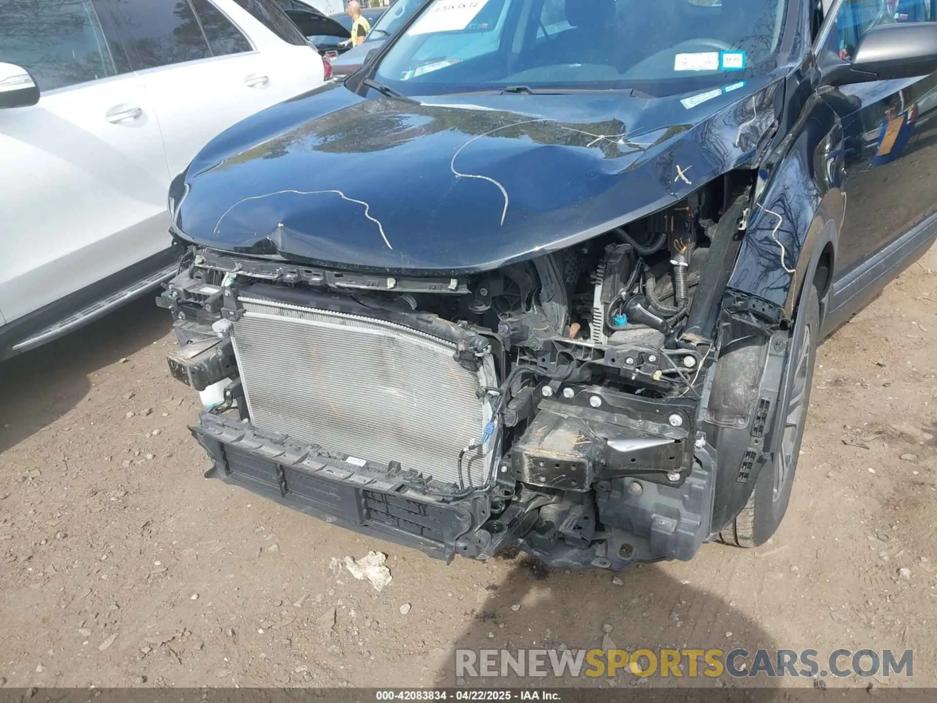 6 fotografías del automóvil dañado 5J6RW6H31KL005193 HONDA CR-V 2019