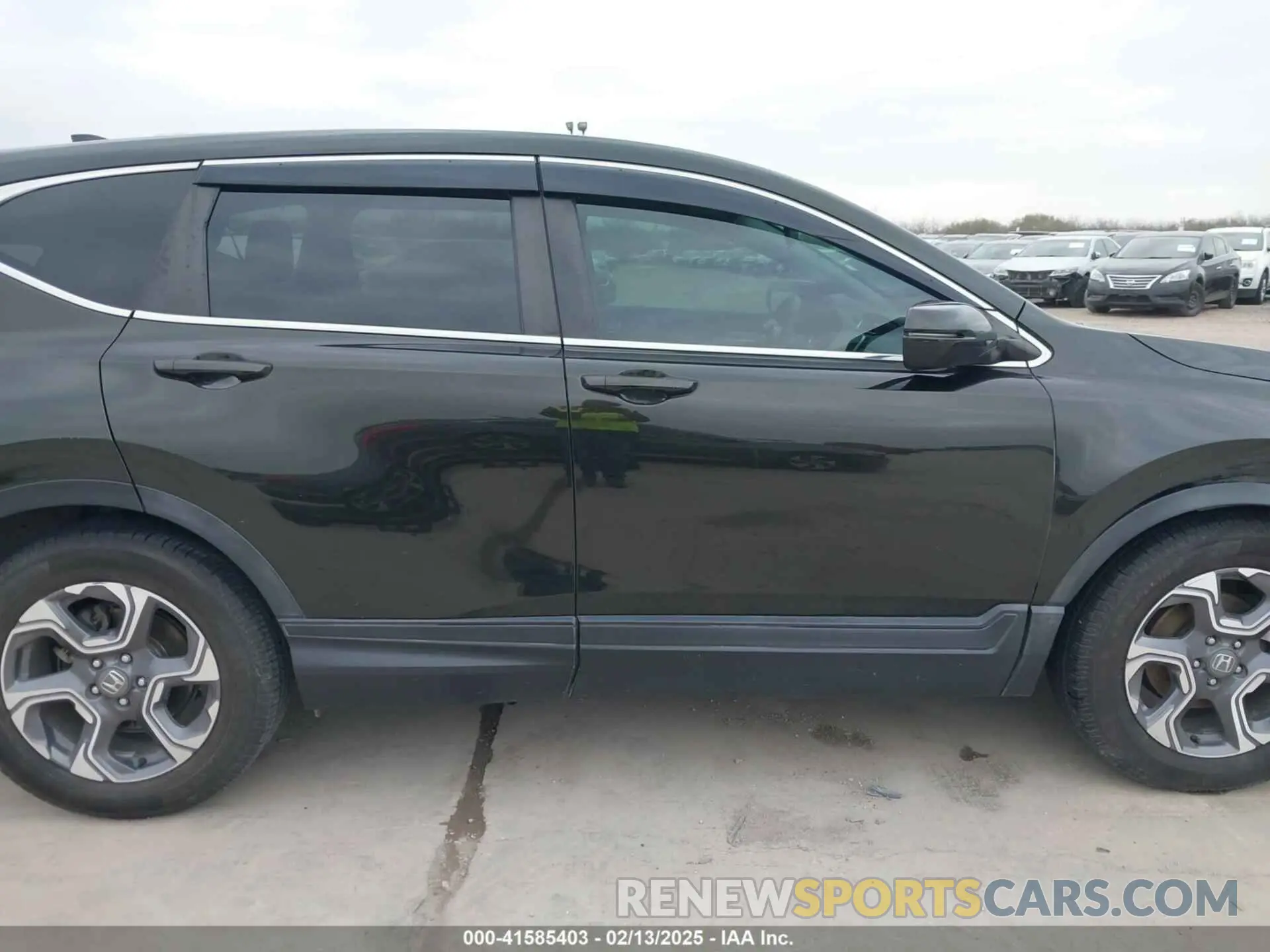 14 fotografías del automóvil dañado 7FARW1H51KE007334 HONDA CR-V 2019