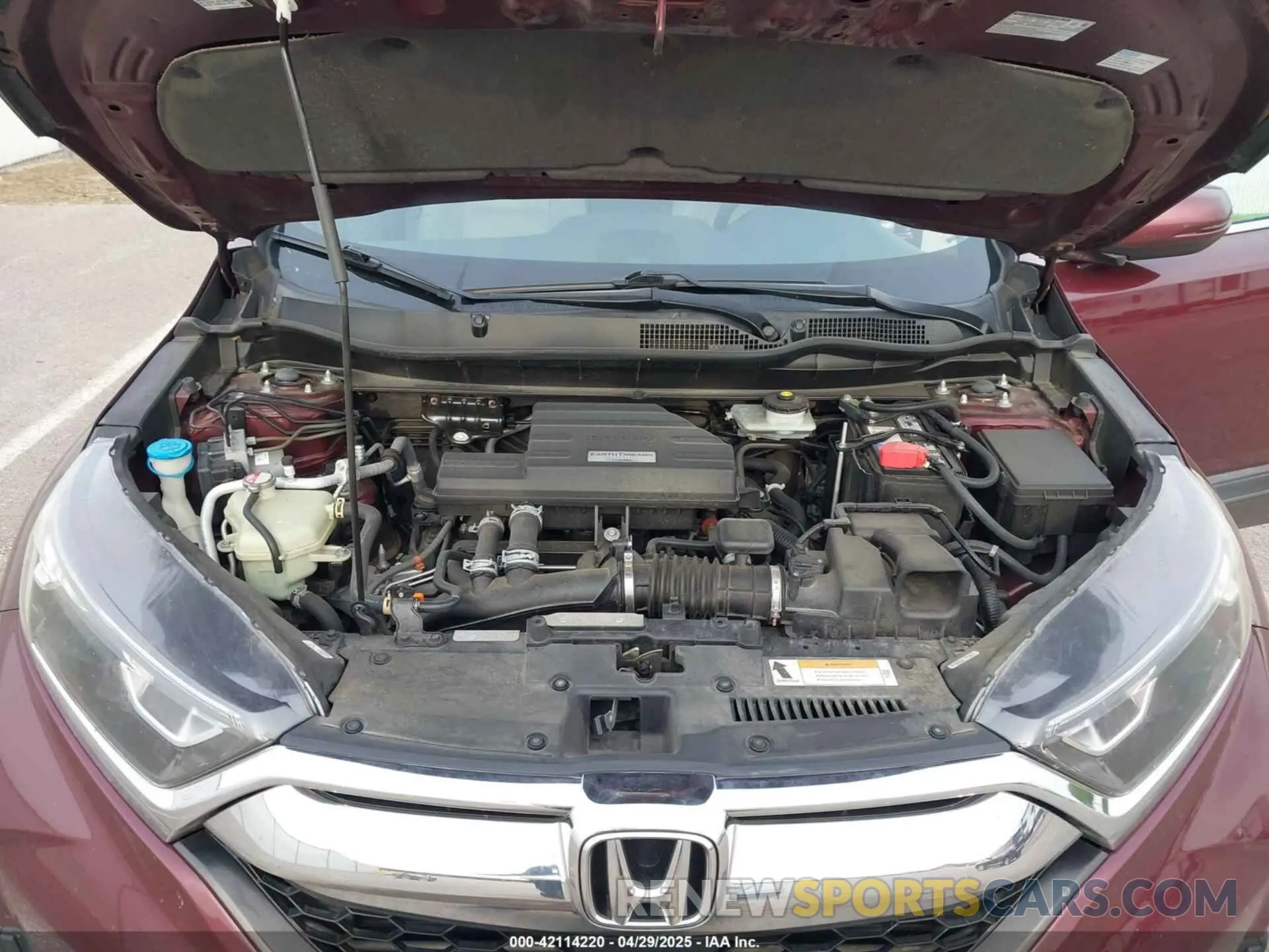 10 fotografías del automóvil dañado 7FARW1H80KE013409 HONDA CR-V 2019