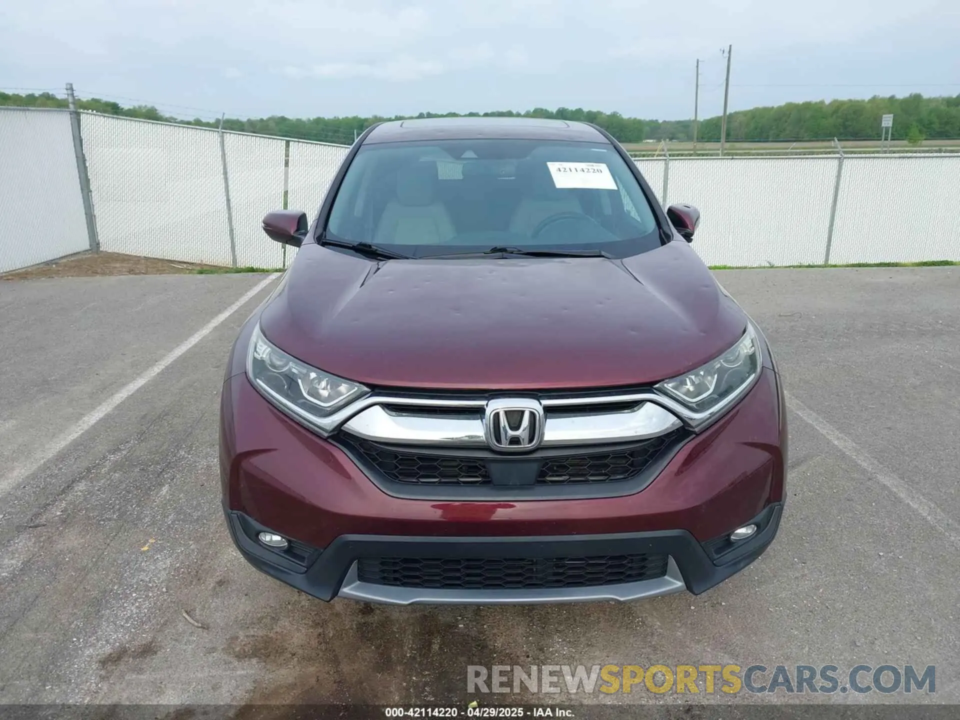 12 fotografías del automóvil dañado 7FARW1H80KE013409 HONDA CR-V 2019