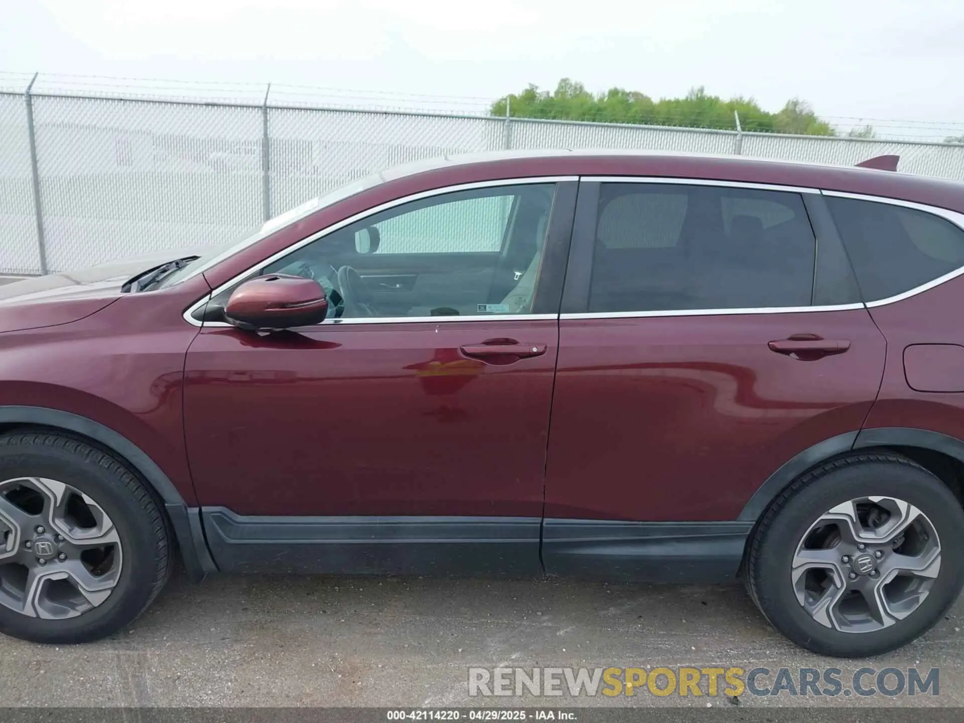 14 fotografías del automóvil dañado 7FARW1H80KE013409 HONDA CR-V 2019