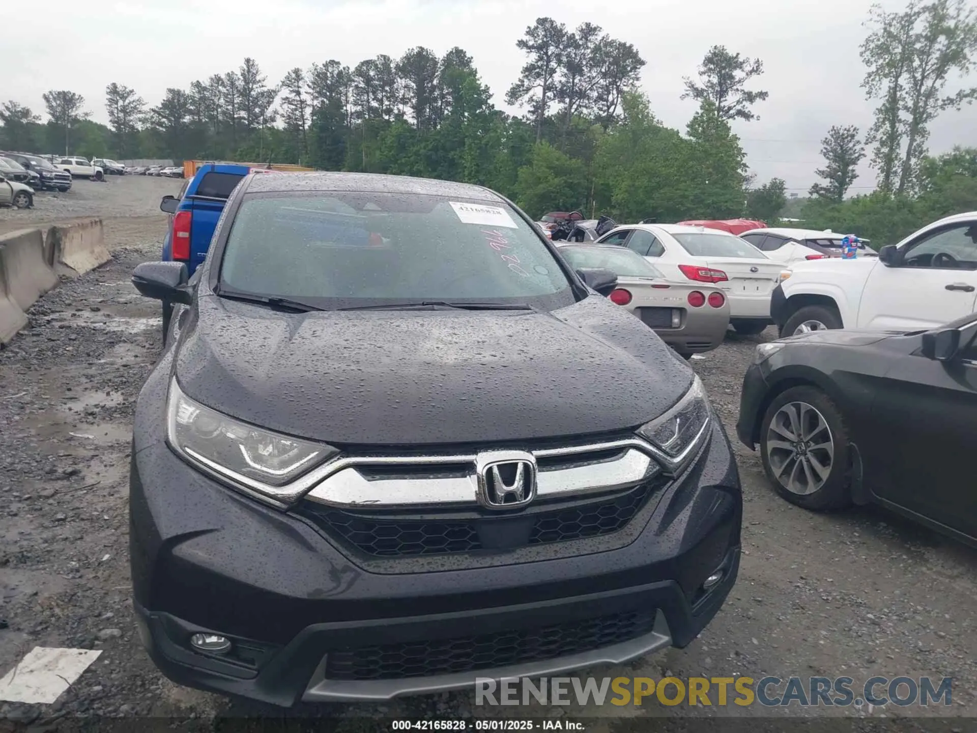 12 fotografías del automóvil dañado 7FARW1H82KE029661 HONDA CR-V 2019
