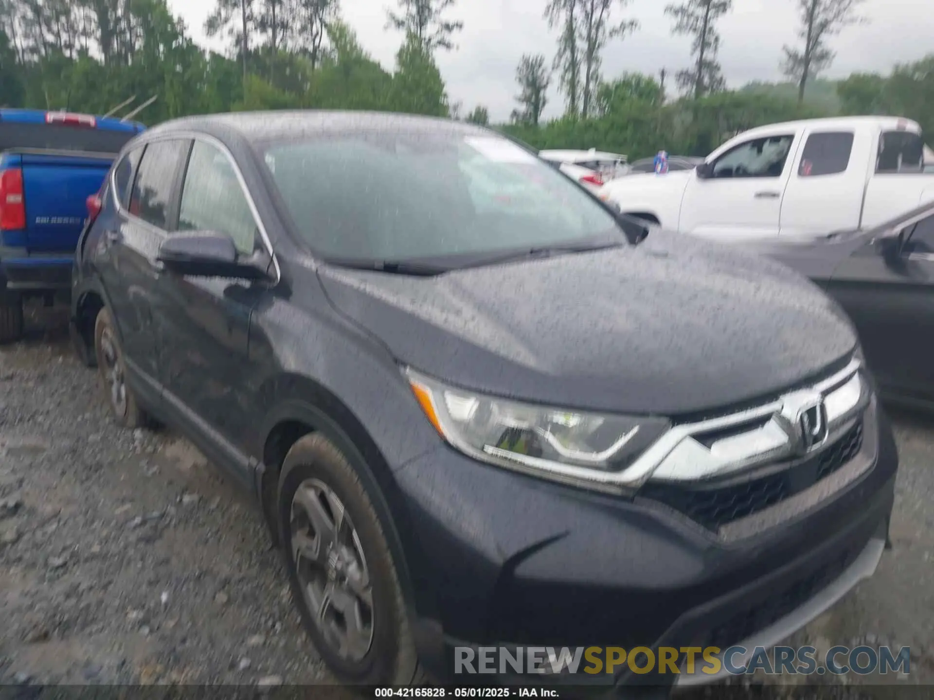 13 fotografías del automóvil dañado 7FARW1H82KE029661 HONDA CR-V 2019