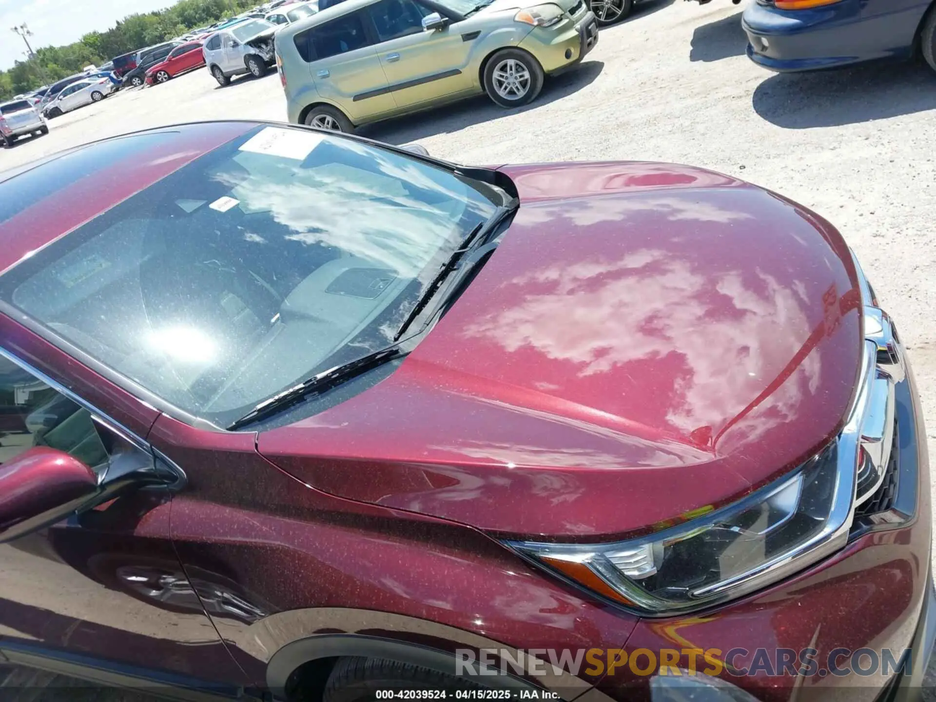 13 fotografías del automóvil dañado 7FARW1H85KE001692 HONDA CR-V 2019