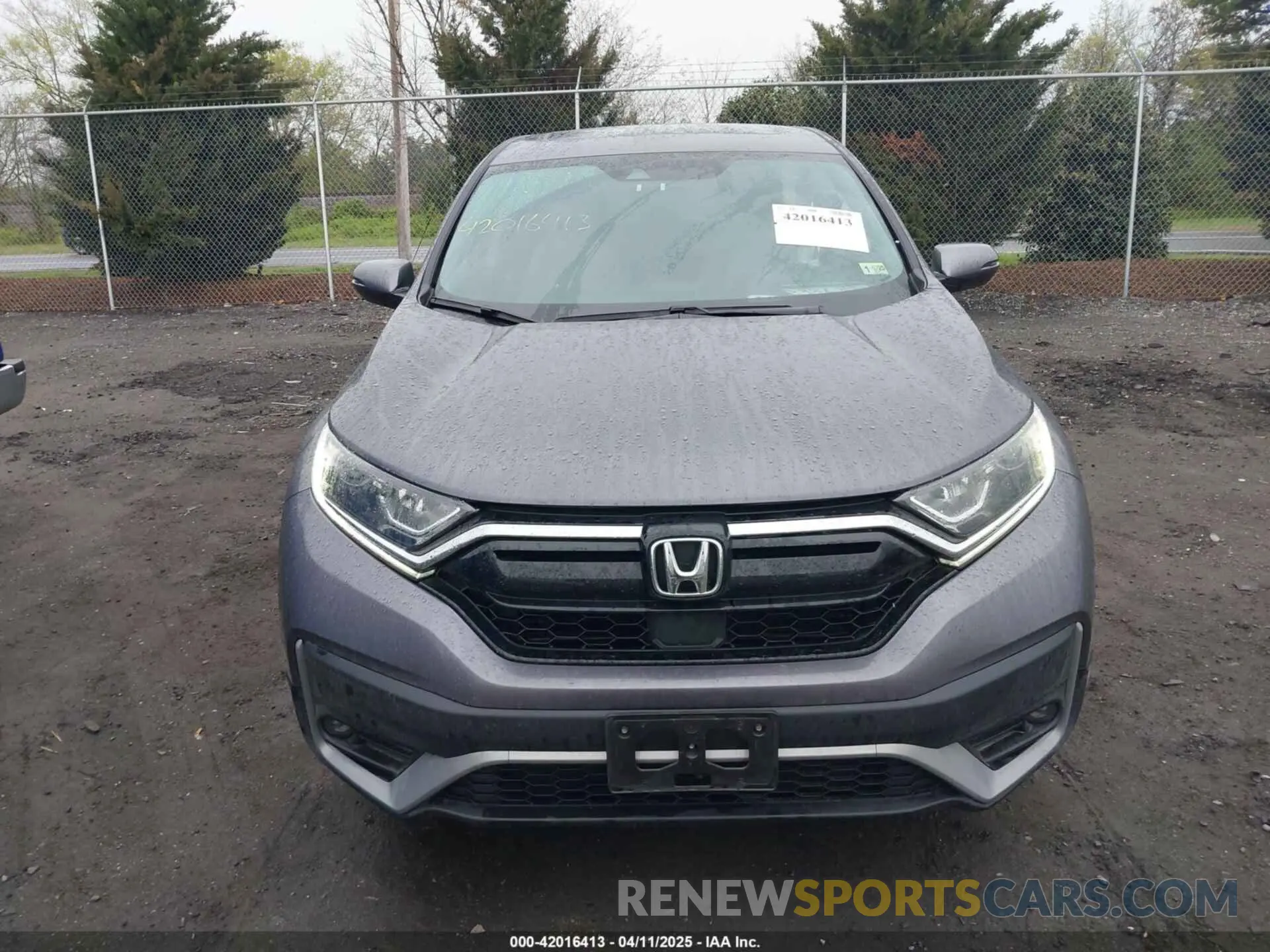12 fotografías del automóvil dañado 2HKRW1H59LH405759 HONDA CR-V 2020