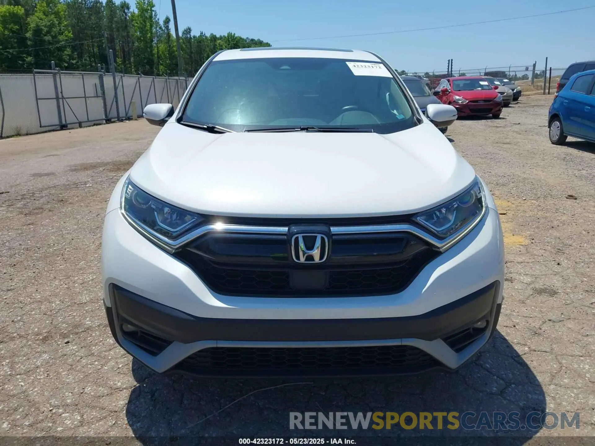 12 fotografías del automóvil dañado 2HKRW1H59LH429253 HONDA CR-V 2020