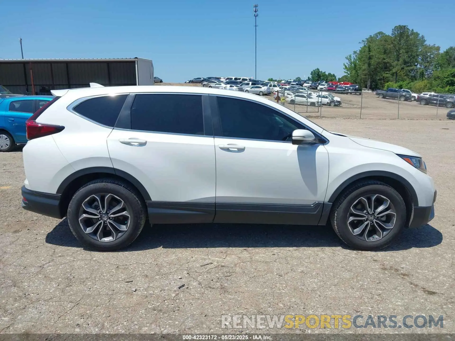 13 fotografías del automóvil dañado 2HKRW1H59LH429253 HONDA CR-V 2020