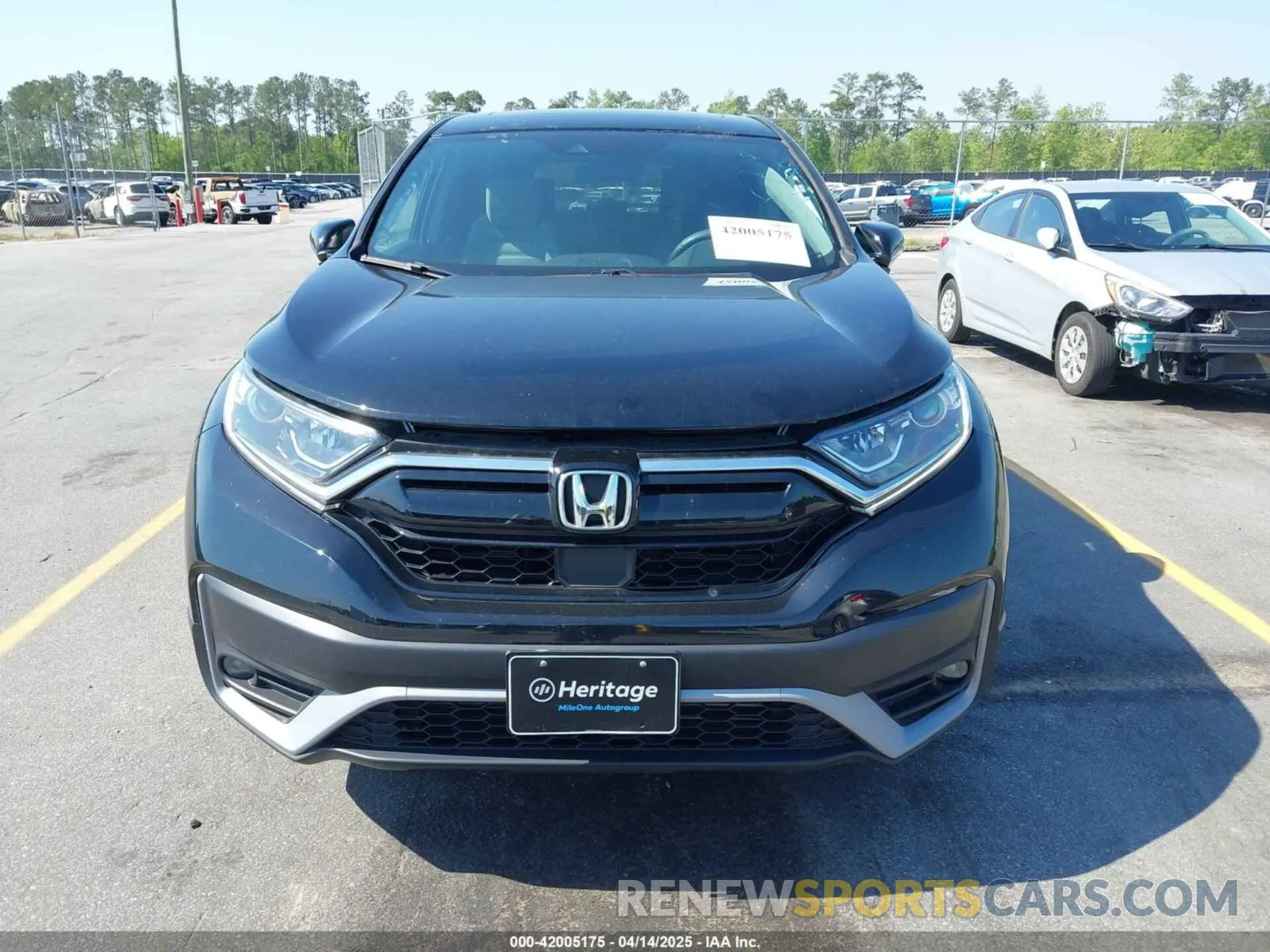 12 fotografías del automóvil dañado 2HKRW2H55LH673925 HONDA CR-V 2020