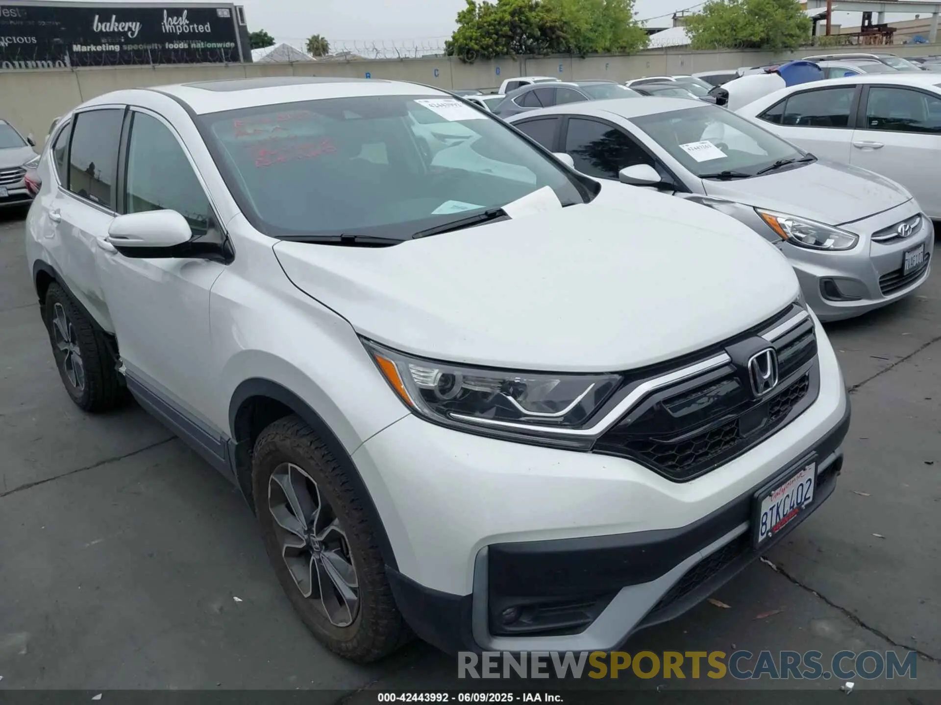 1 fotografías del automóvil dañado 2HKRW2H80LH692392 HONDA CR-V 2020