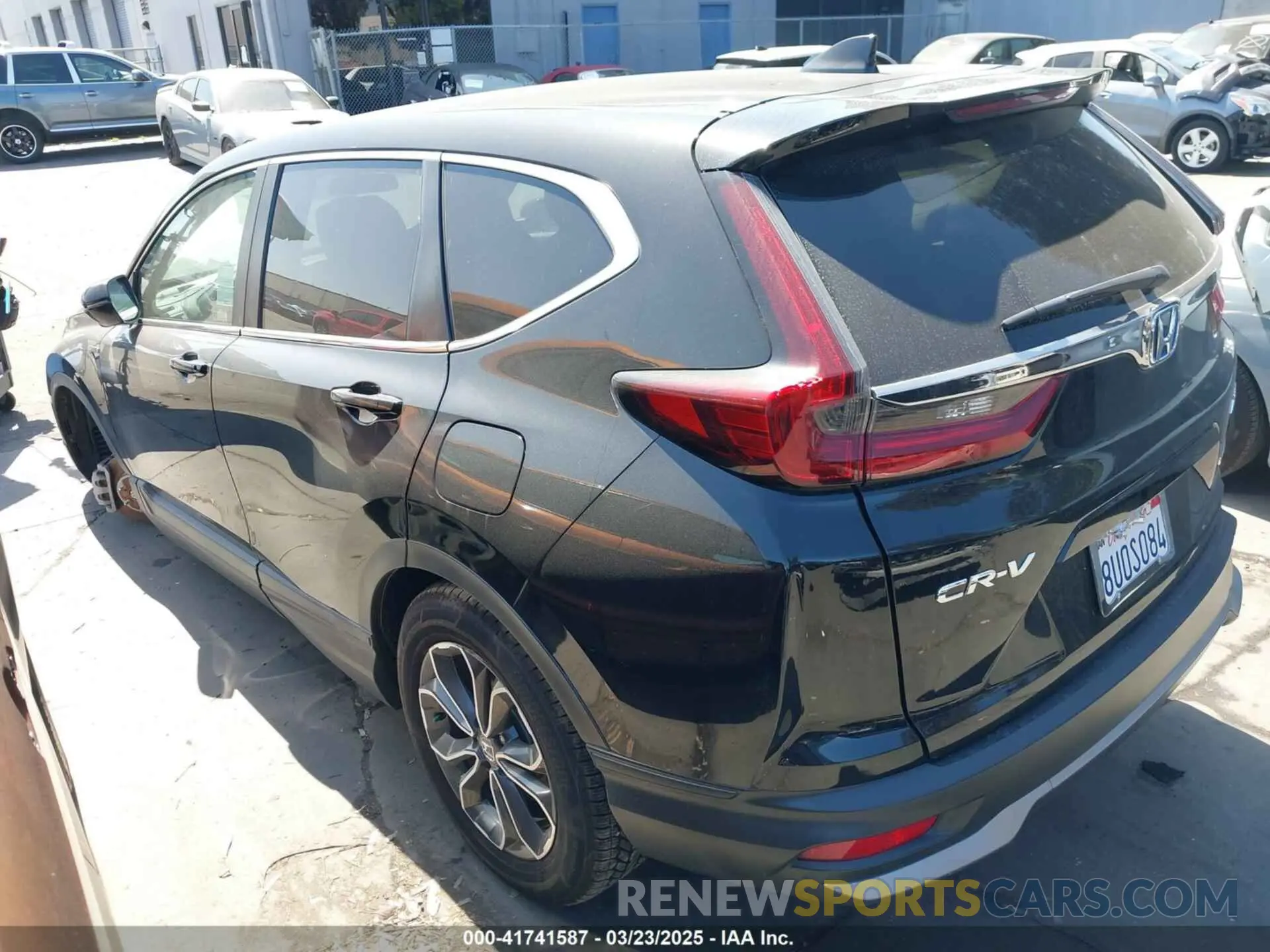 14 fotografías del automóvil dañado 7FART6H51LE019894 HONDA CR-V 2020