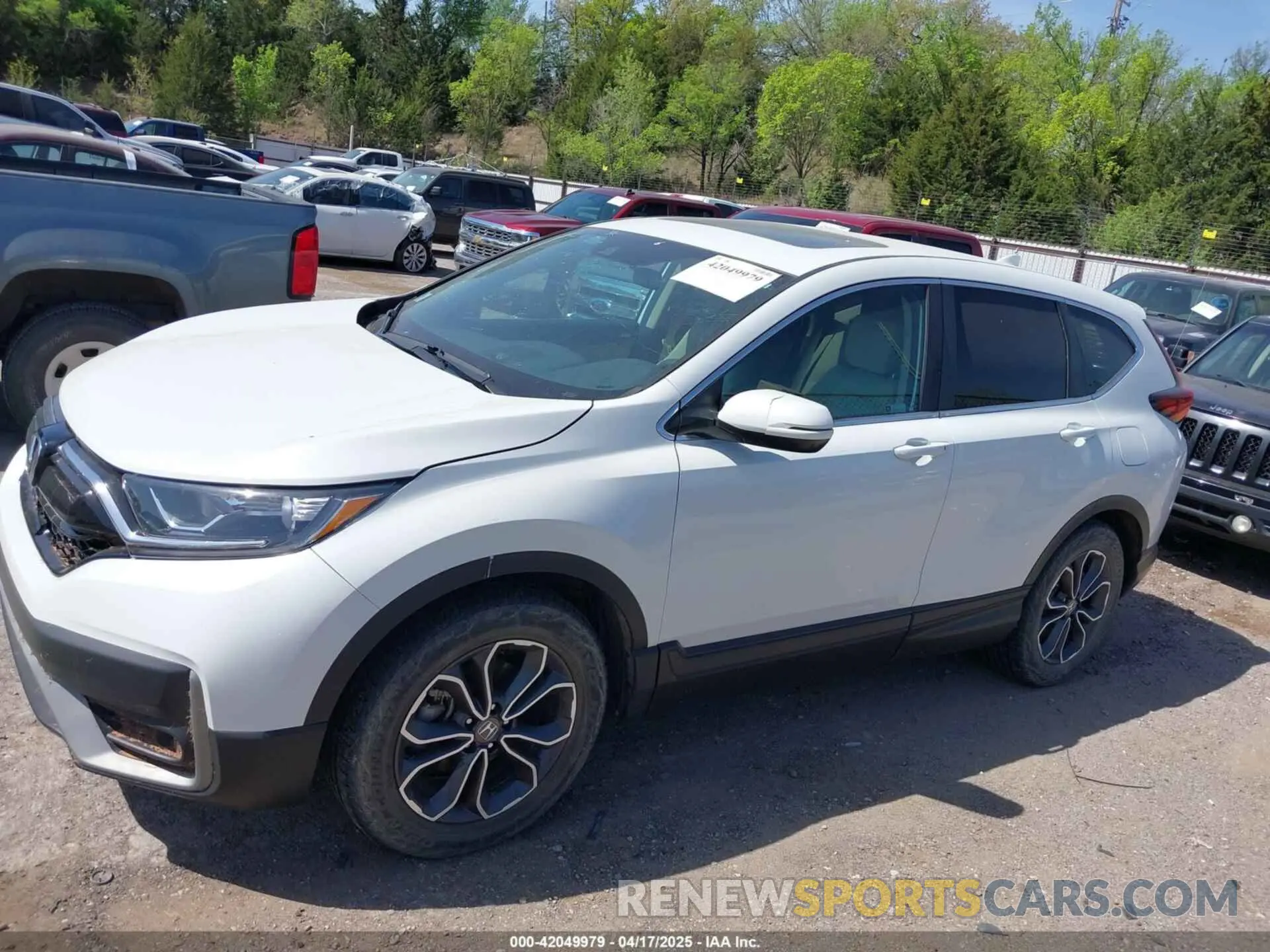 14 fotografías del automóvil dañado 7FARW1H51LE025351 HONDA CR-V 2020