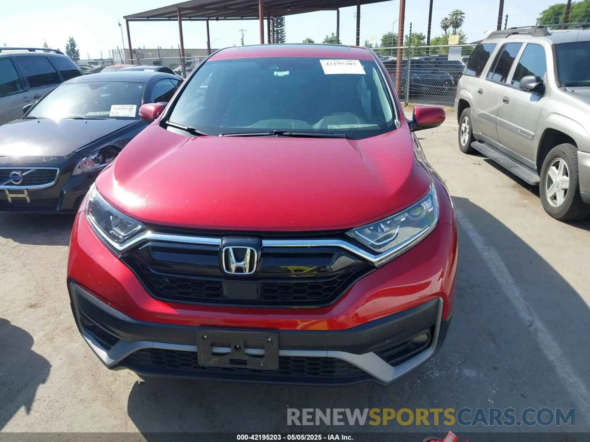13 fotografías del automóvil dañado 2HKRW1H51MH413274 HONDA CR-V 2021
