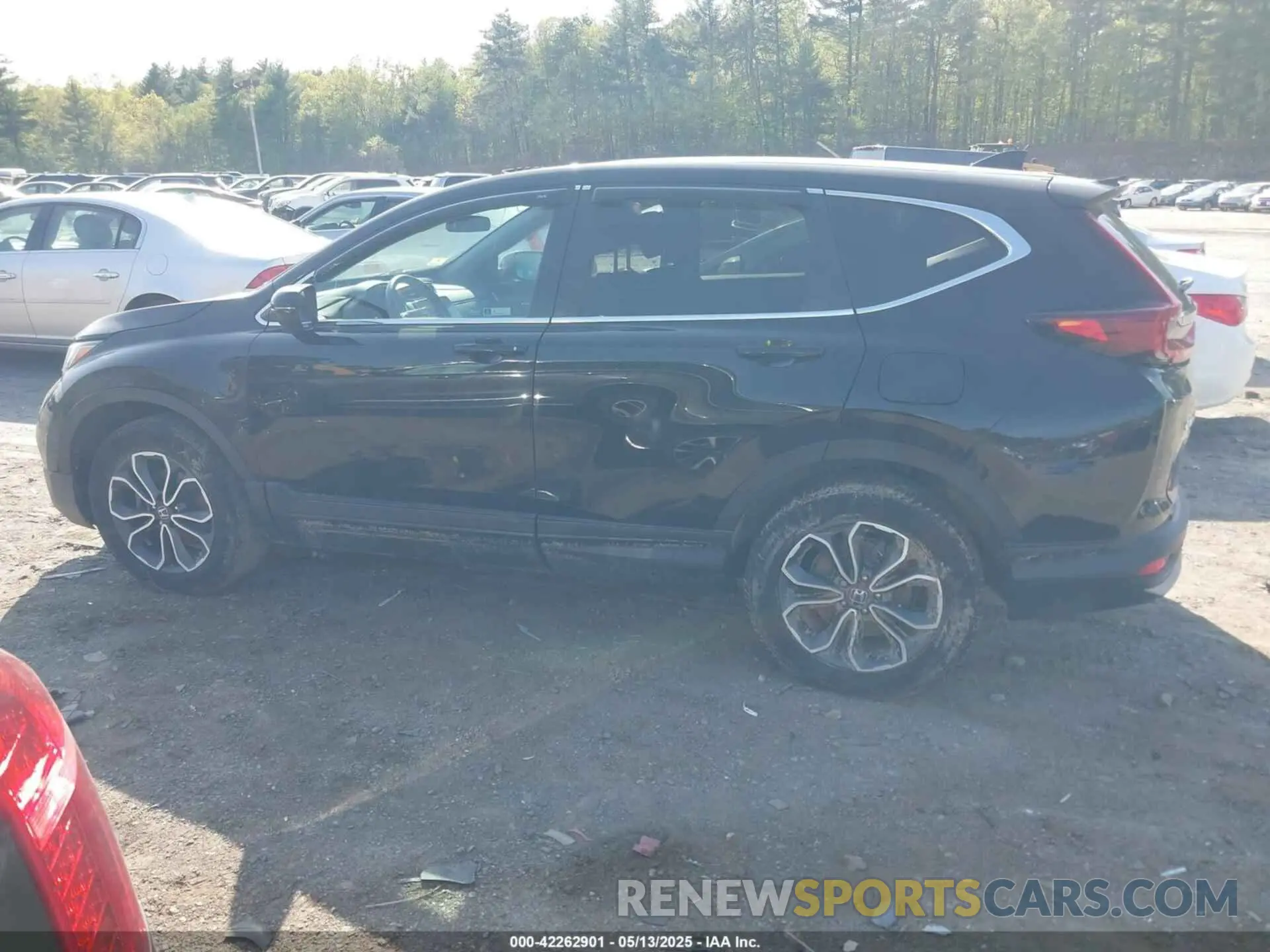13 fotografías del automóvil dañado 2HKRW2H57MH658330 HONDA CR-V 2021