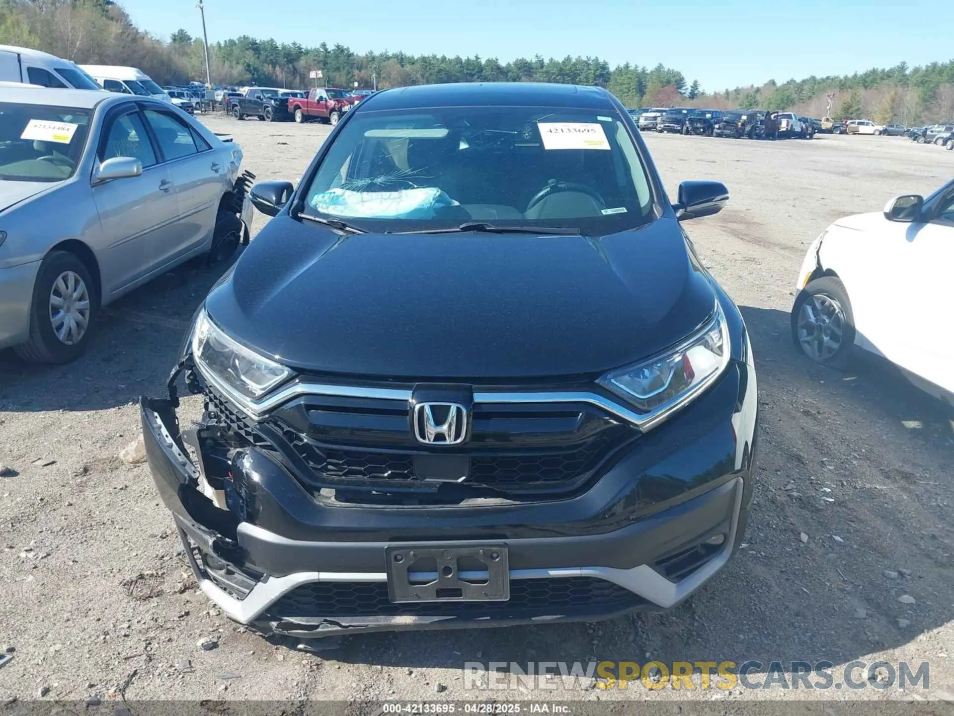 12 fotografías del automóvil dañado 2HKRW2H84MH623206 HONDA CR-V 2021