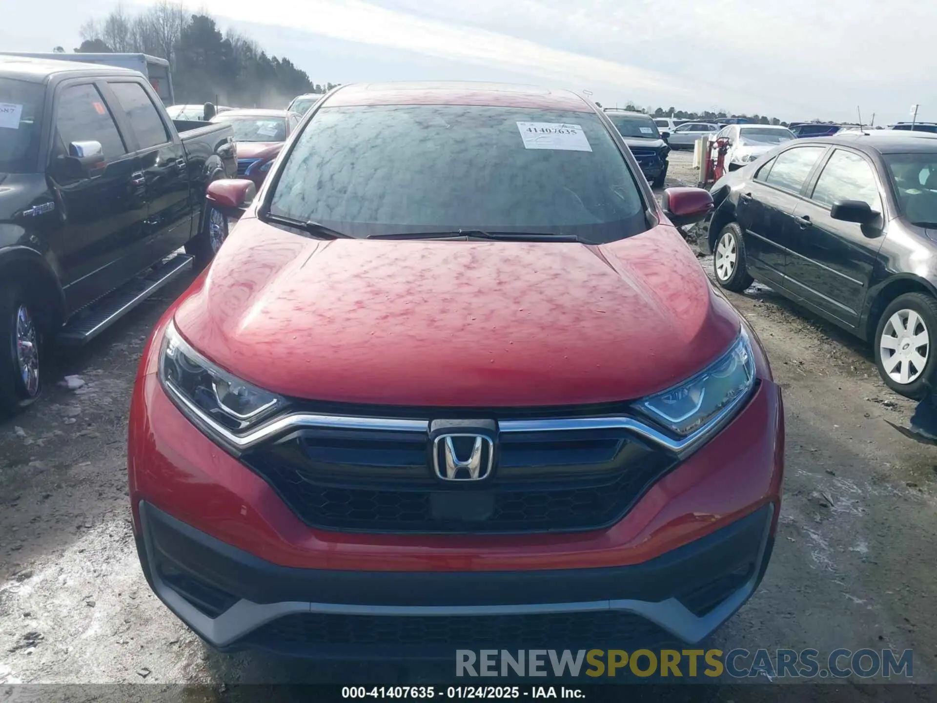 12 fotografías del automóvil dañado 2HKRW2H86MH613907 HONDA CR-V 2021