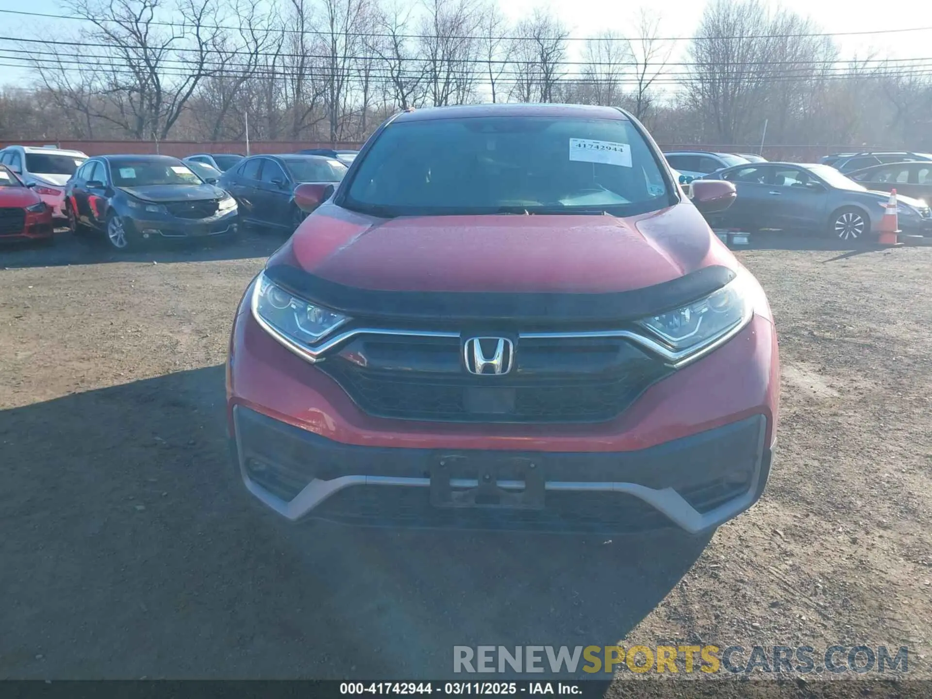12 fotografías del automóvil dañado 2HKRW2H89MH615585 HONDA CR-V 2021