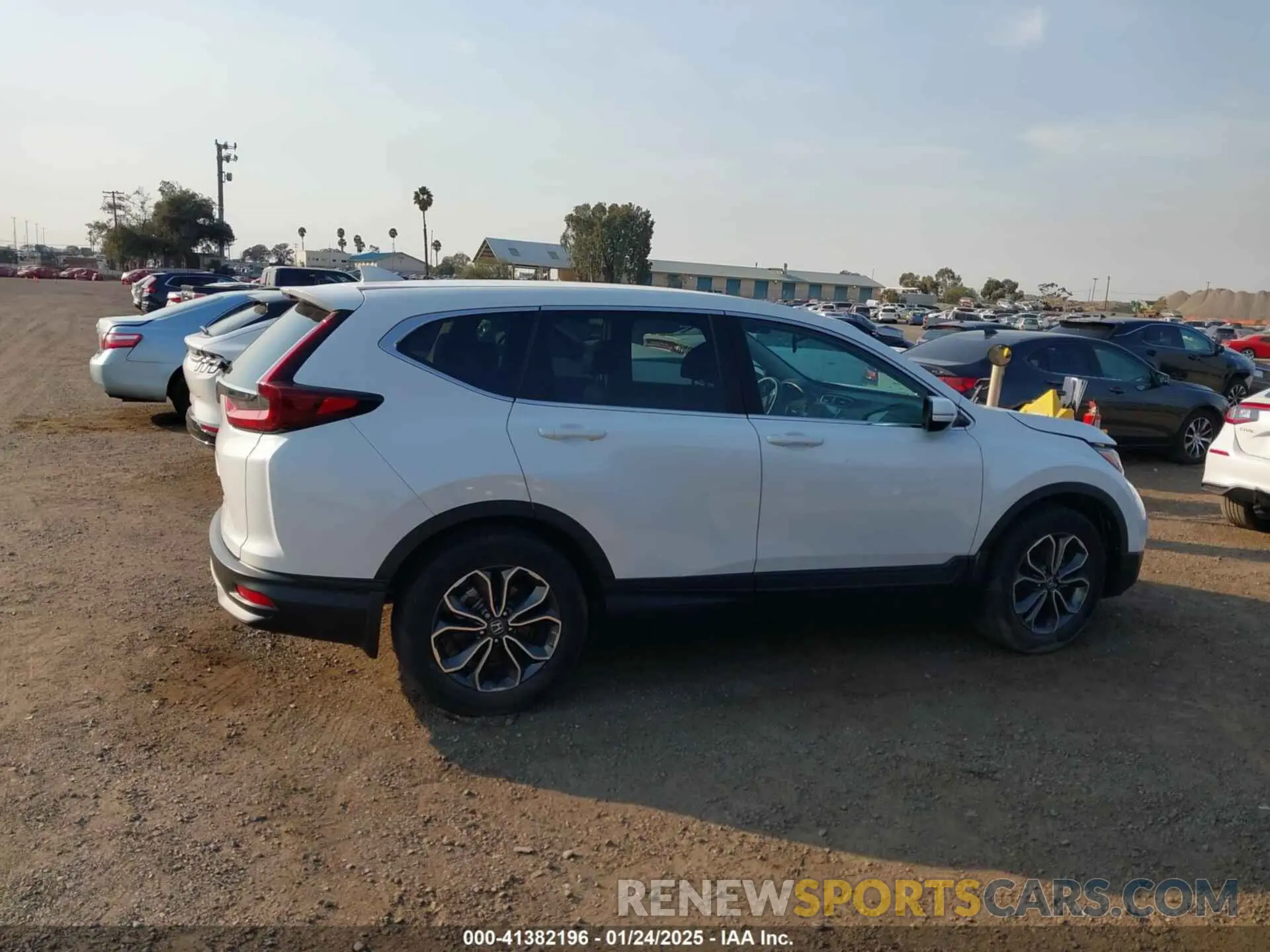 12 fotografías del automóvil dañado 5J6RW1H56MA013728 HONDA CR-V 2021