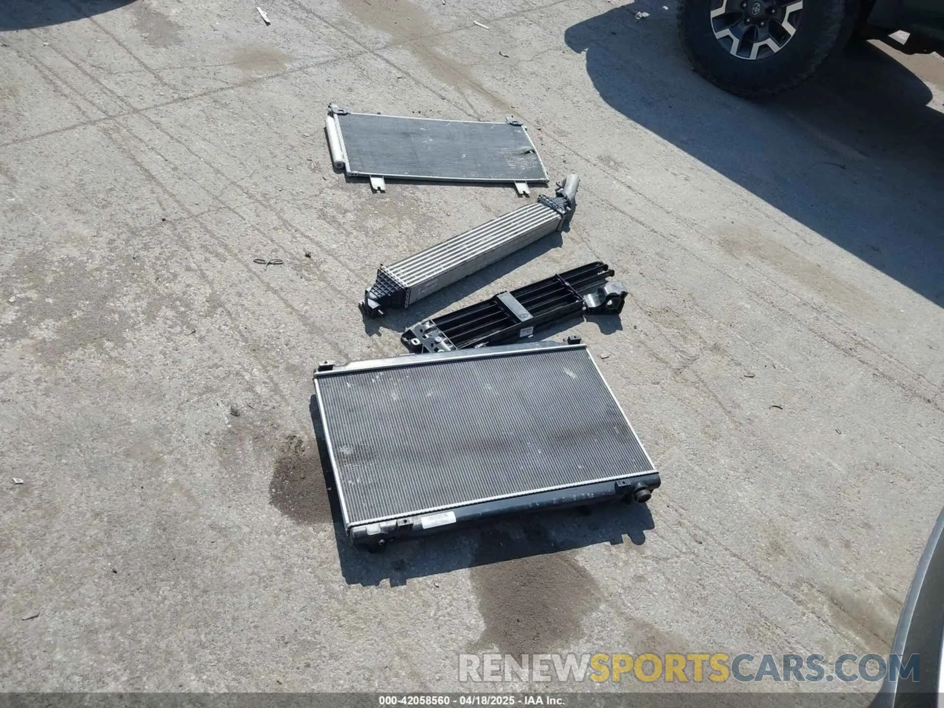 12 fotografías del automóvil dañado 5J6RW2H94ML013546 HONDA CR-V 2021