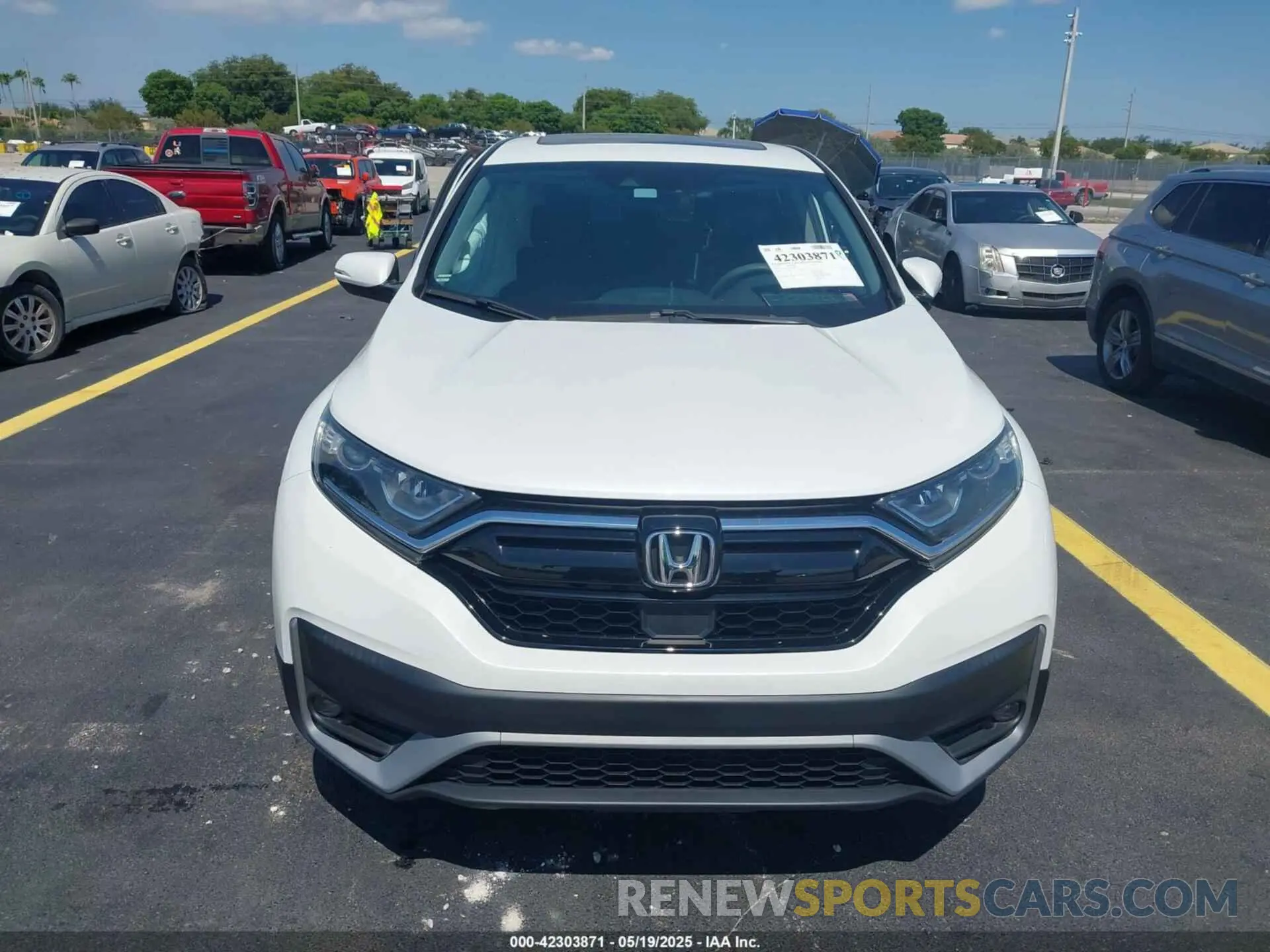 12 fotografías del automóvil dañado 7FARW1H59ME008721 HONDA CR-V 2021