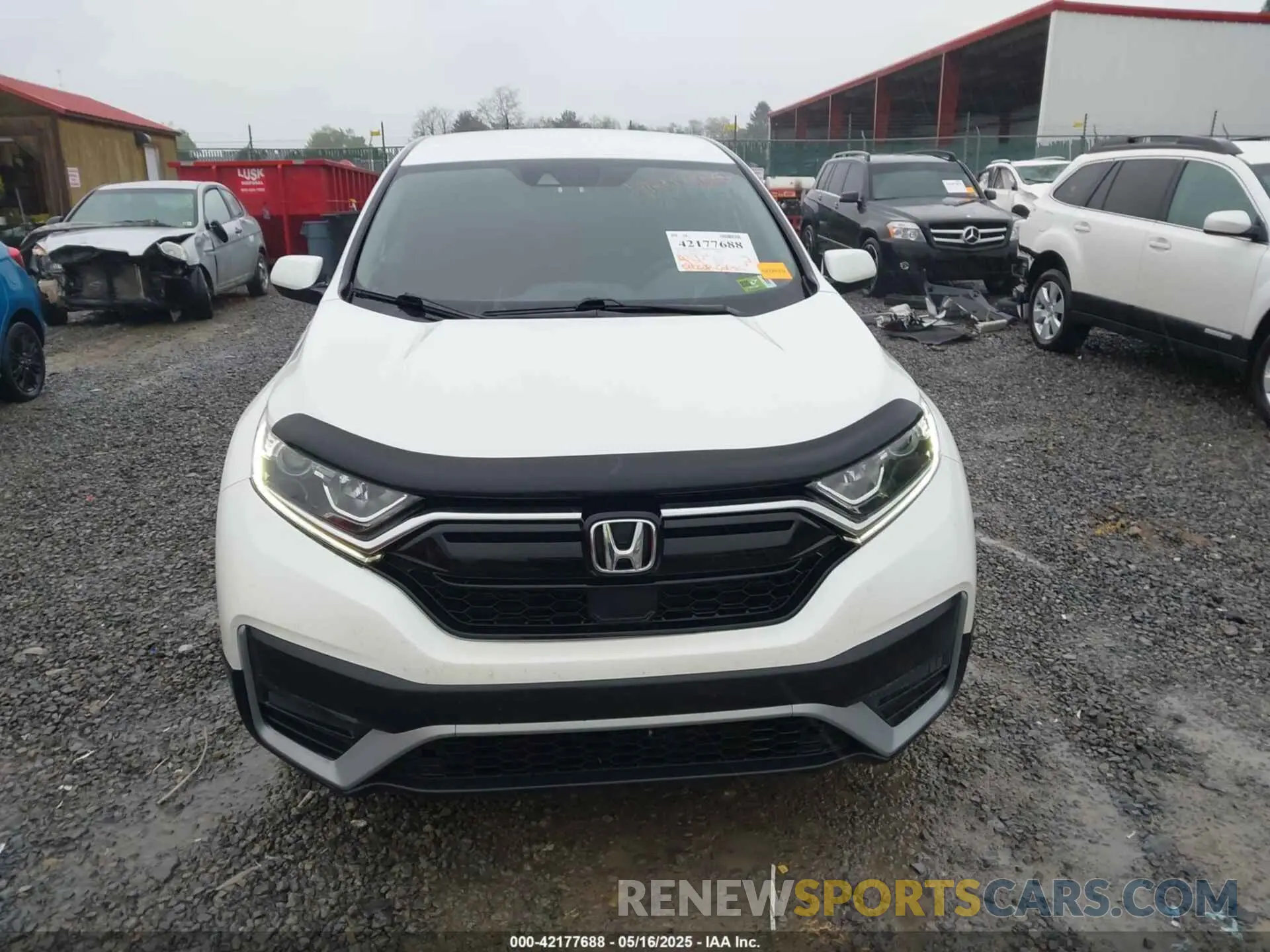 12 fotografías del automóvil dañado 7FARW2H75ME024356 HONDA CR-V 2021