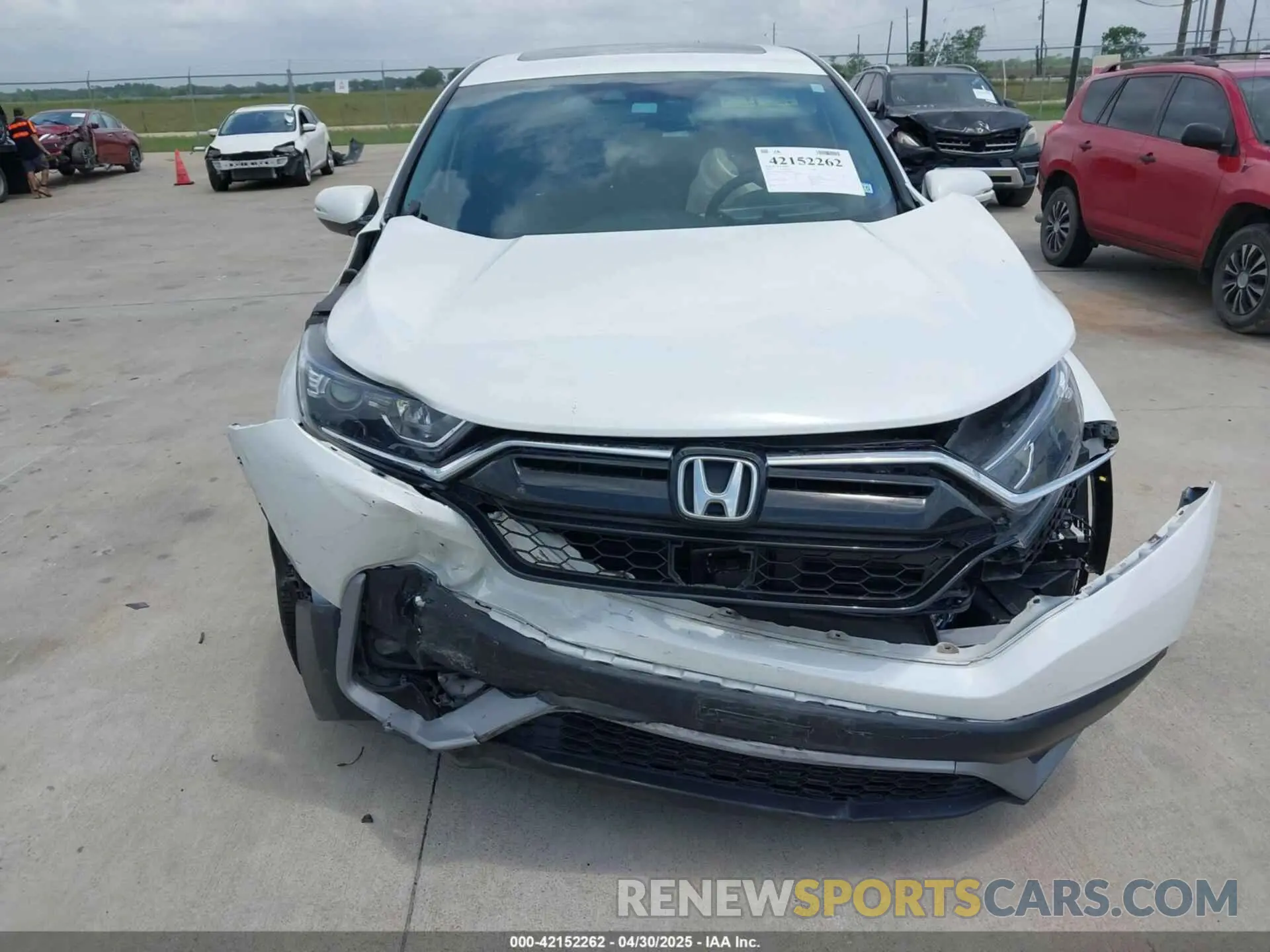 12 fotografías del automóvil dañado 2HKRW1H89NH409131 HONDA CR-V 2022
