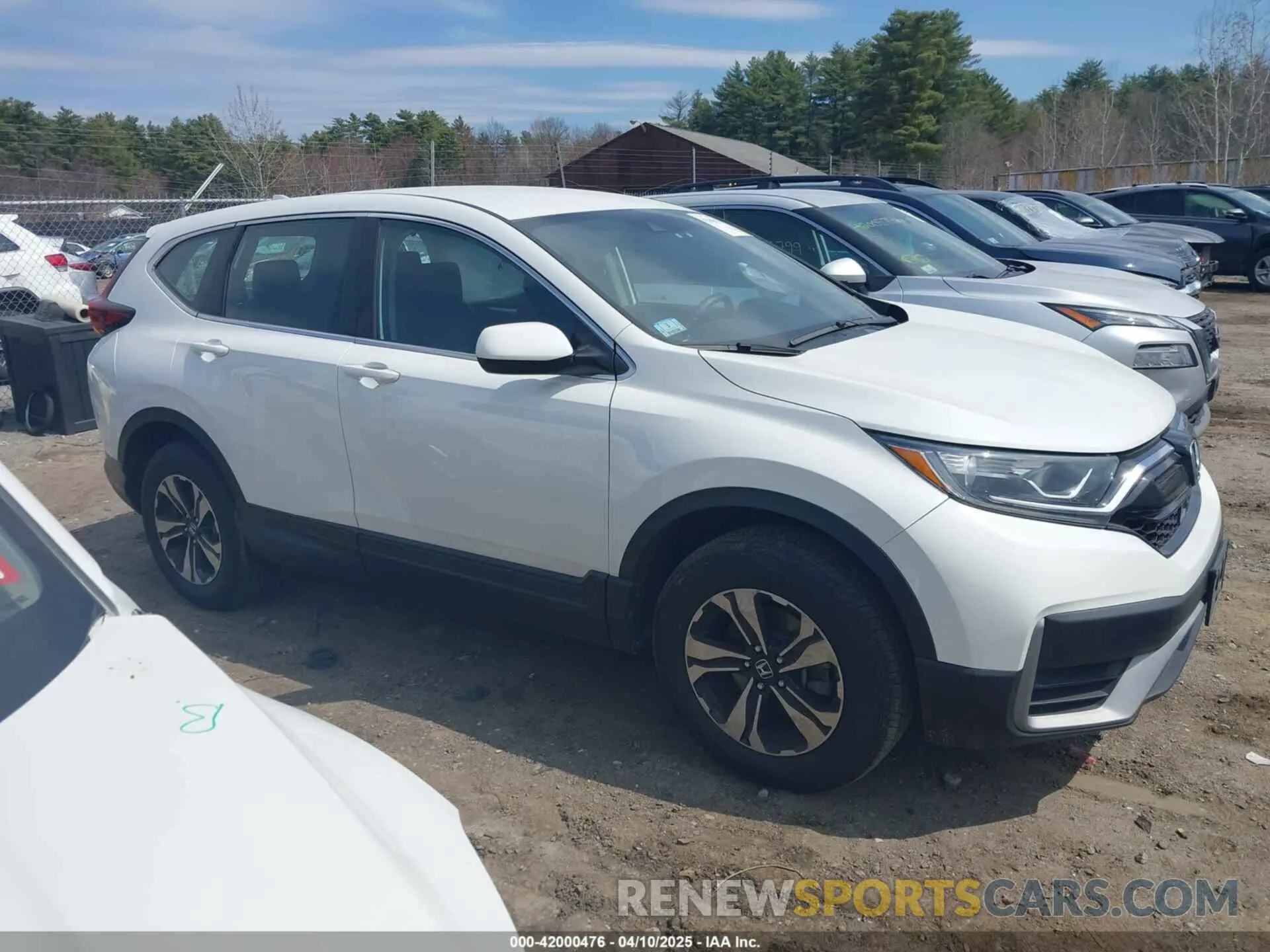 12 fotografías del automóvil dañado 2HKRW2H75NH625894 HONDA CR-V 2022