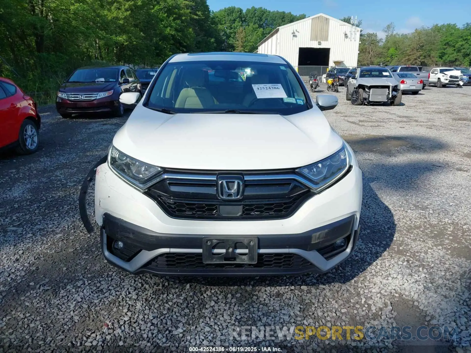 12 fotografías del automóvil dañado 2HKRW2H83NH604485 HONDA CR-V 2022
