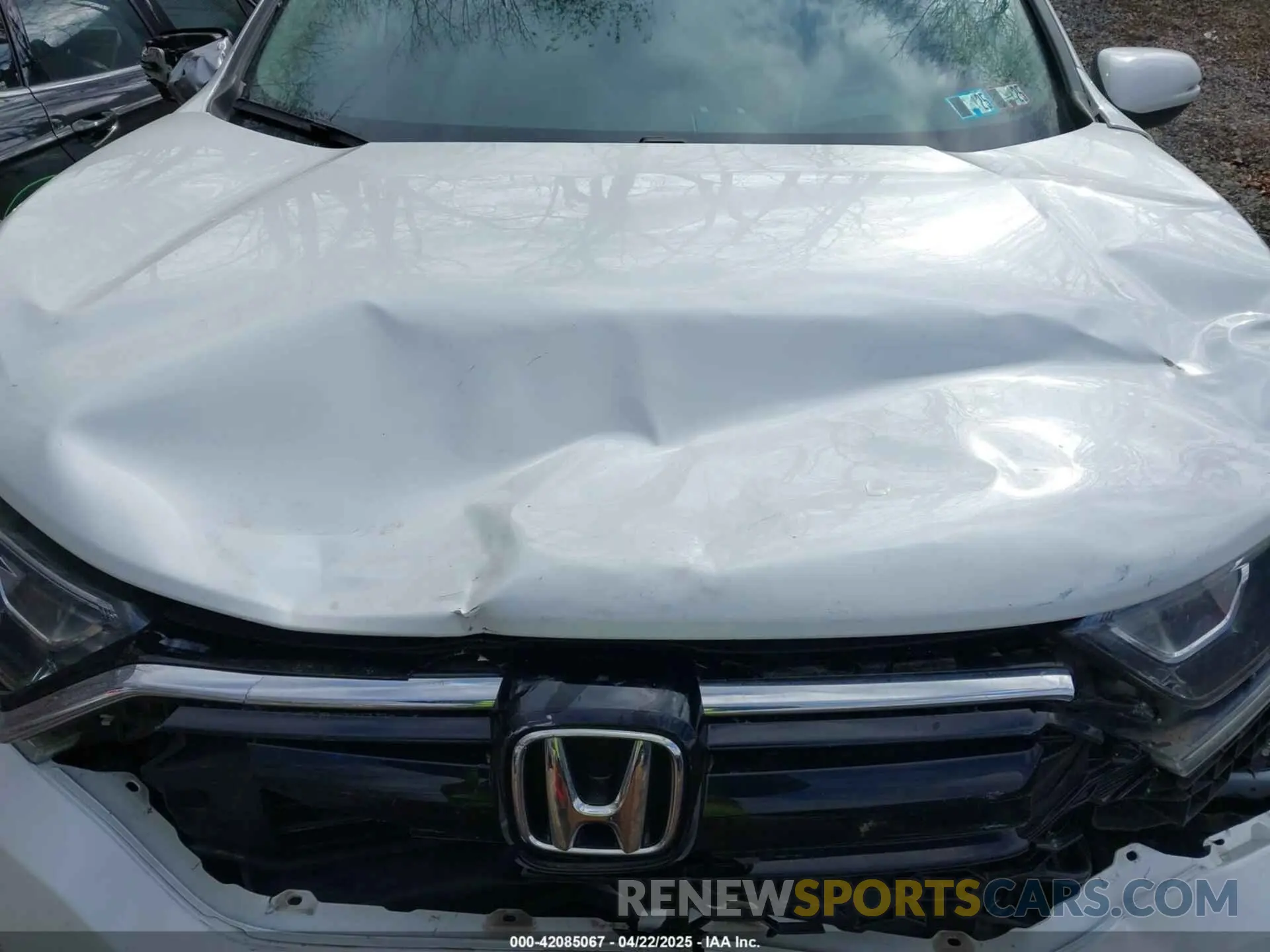 10 fotografías del automóvil dañado 7FARW2H50NE051609 HONDA CR-V 2022