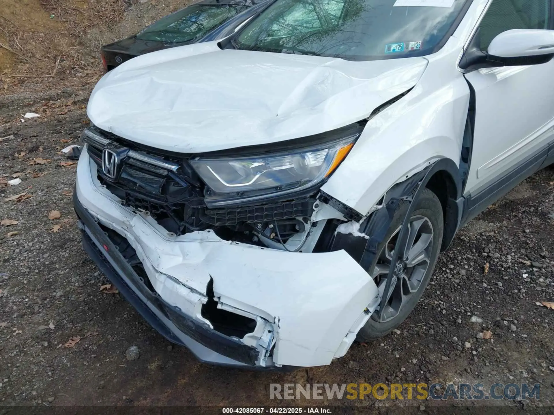 6 fotografías del automóvil dañado 7FARW2H50NE051609 HONDA CR-V 2022