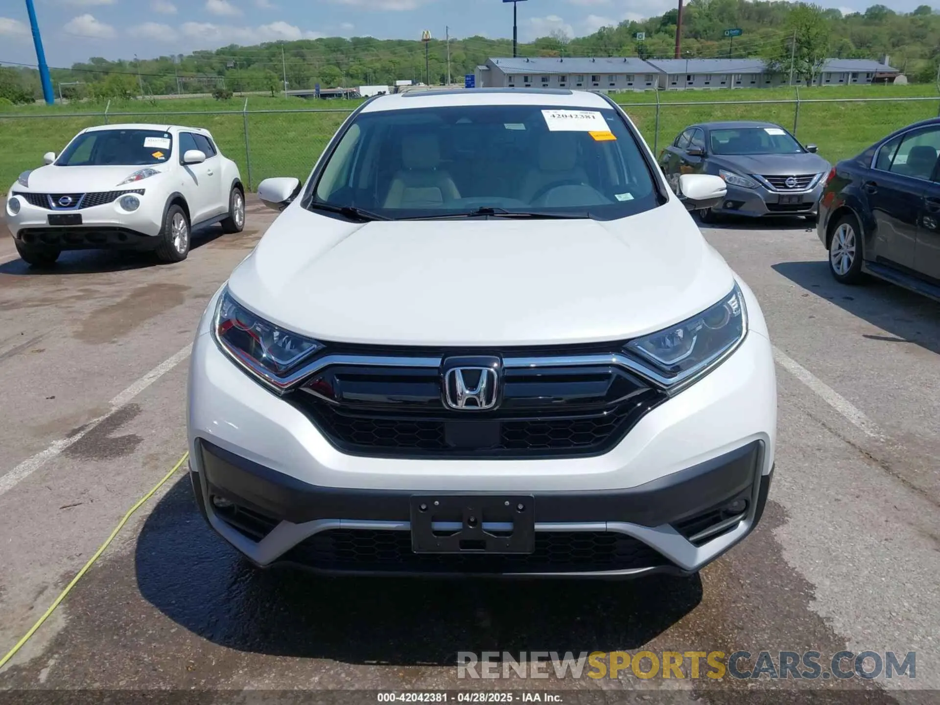 12 fotografías del automóvil dañado 7FARW2H80NE034139 HONDA CR-V 2022