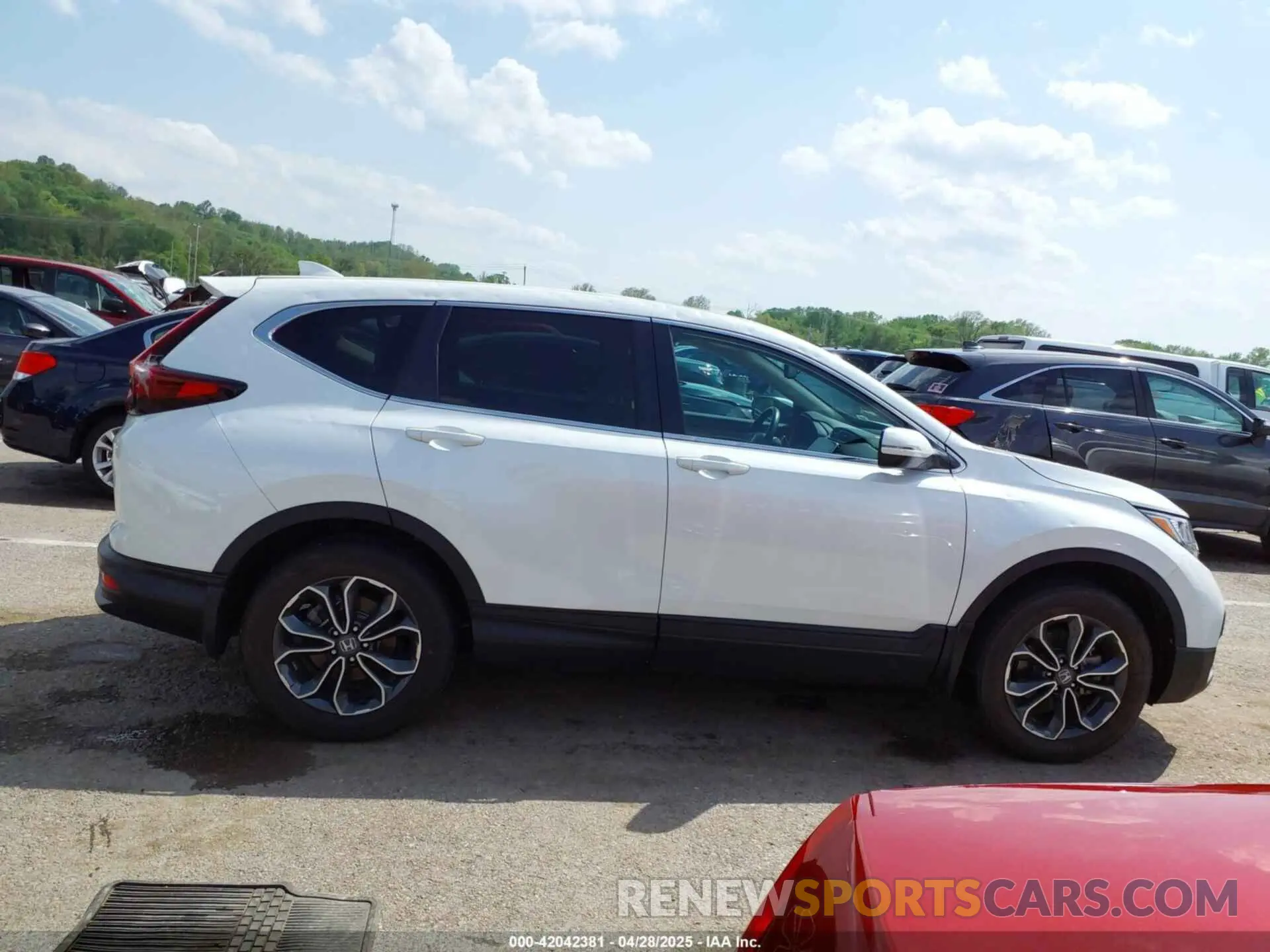 13 fotografías del automóvil dañado 7FARW2H80NE034139 HONDA CR-V 2022