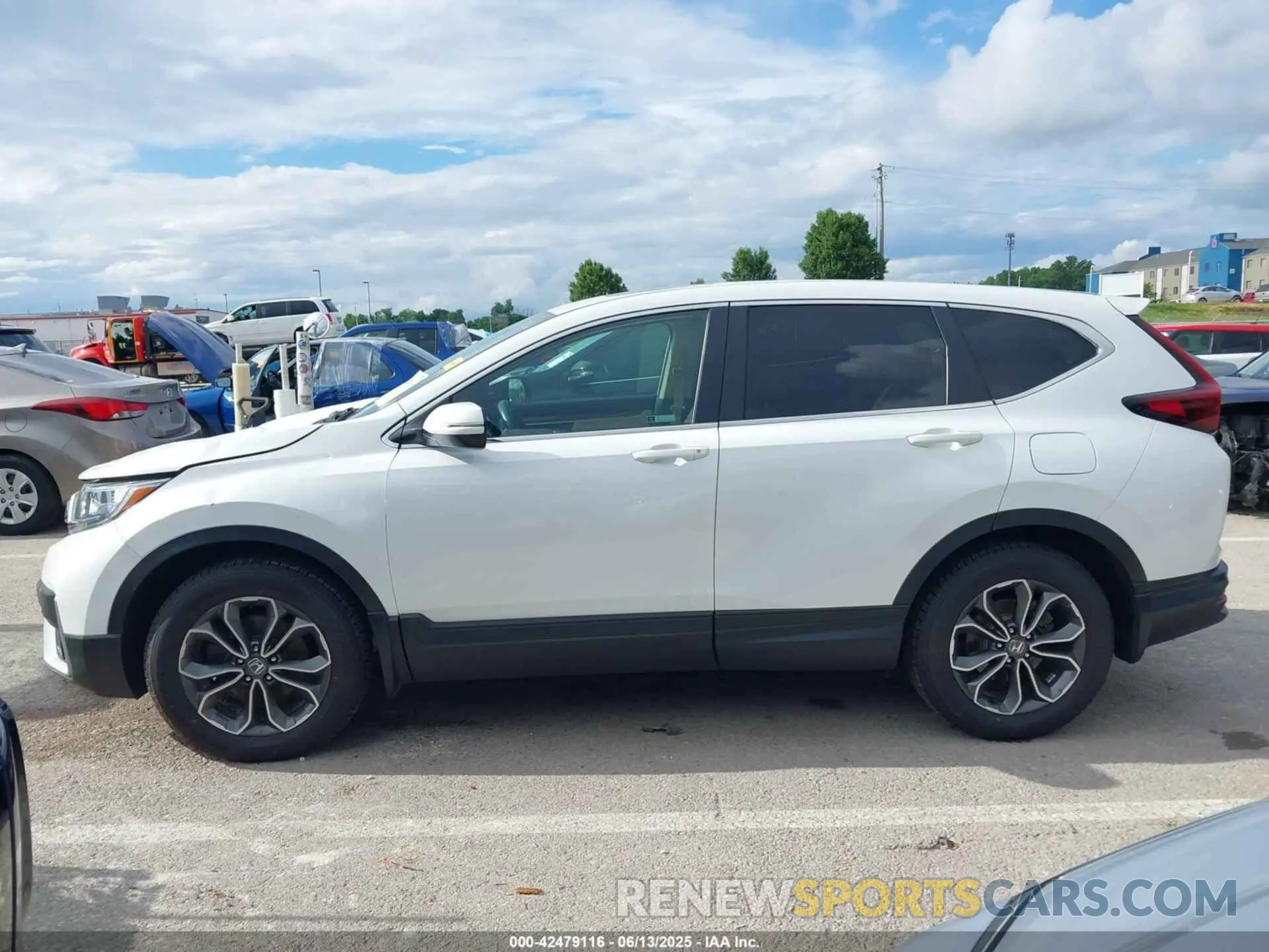 14 fotografías del automóvil dañado 7FARW2H80NE035856 HONDA CR-V 2022